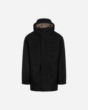 Terang jr - Marrone