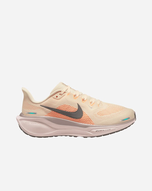 Pegasus 41 w