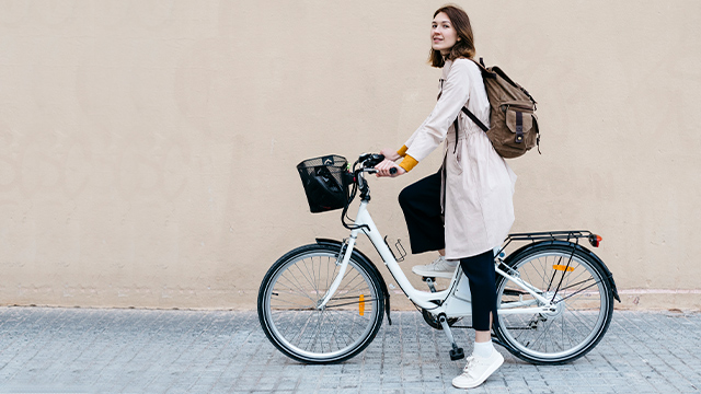 Collezione e-Bike: bici elettriche e a pedalata assistita