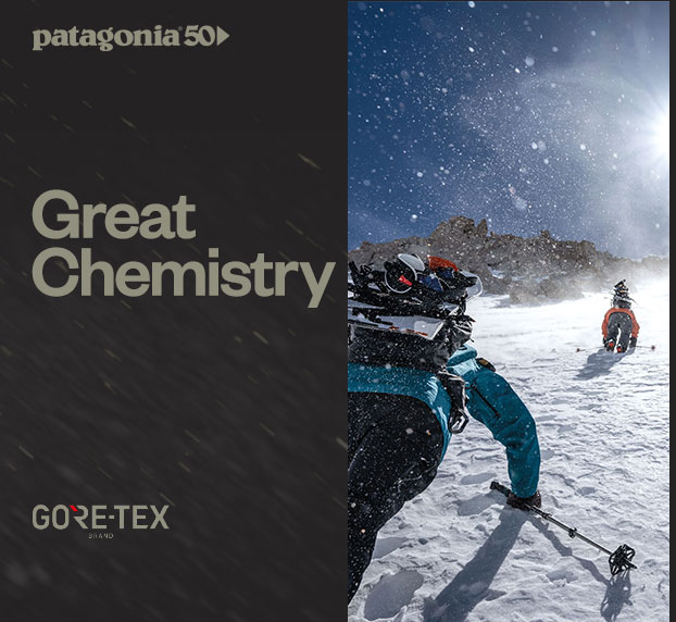 Patagonia GORE-TEX