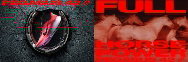 Collezione Nike Pegasus