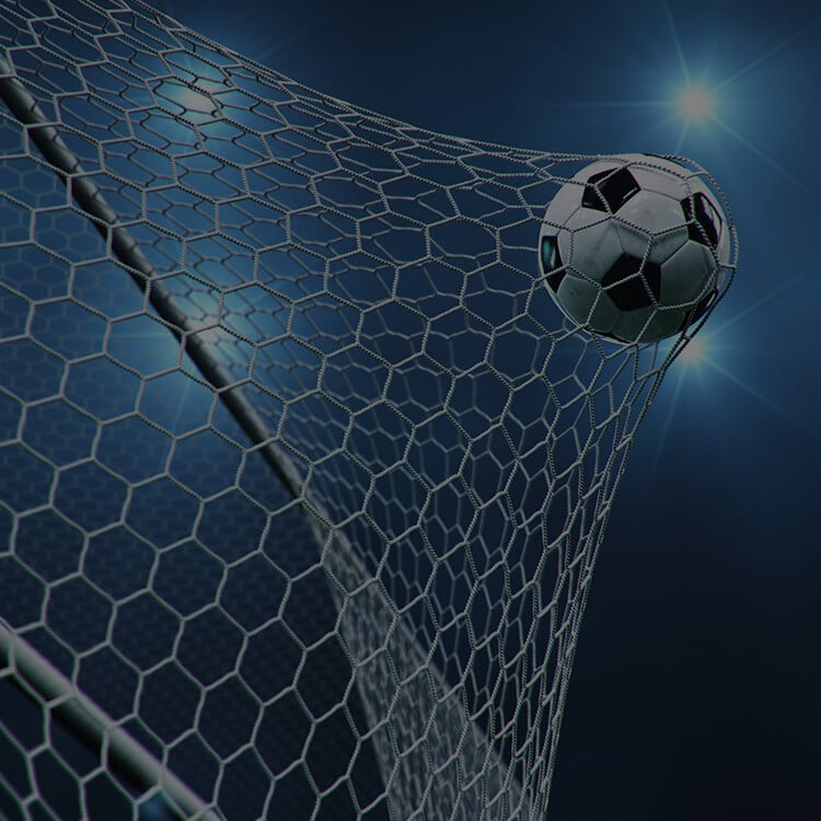 Pallone che entra in rete