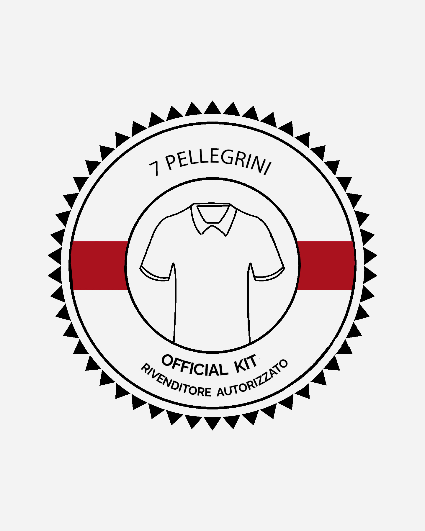 Accessorio calcio DEKOGRAPHICS STAMPA PELLEGRINI HOME 22-23 JR  - Color mix - 1 | Cisalfa Sport