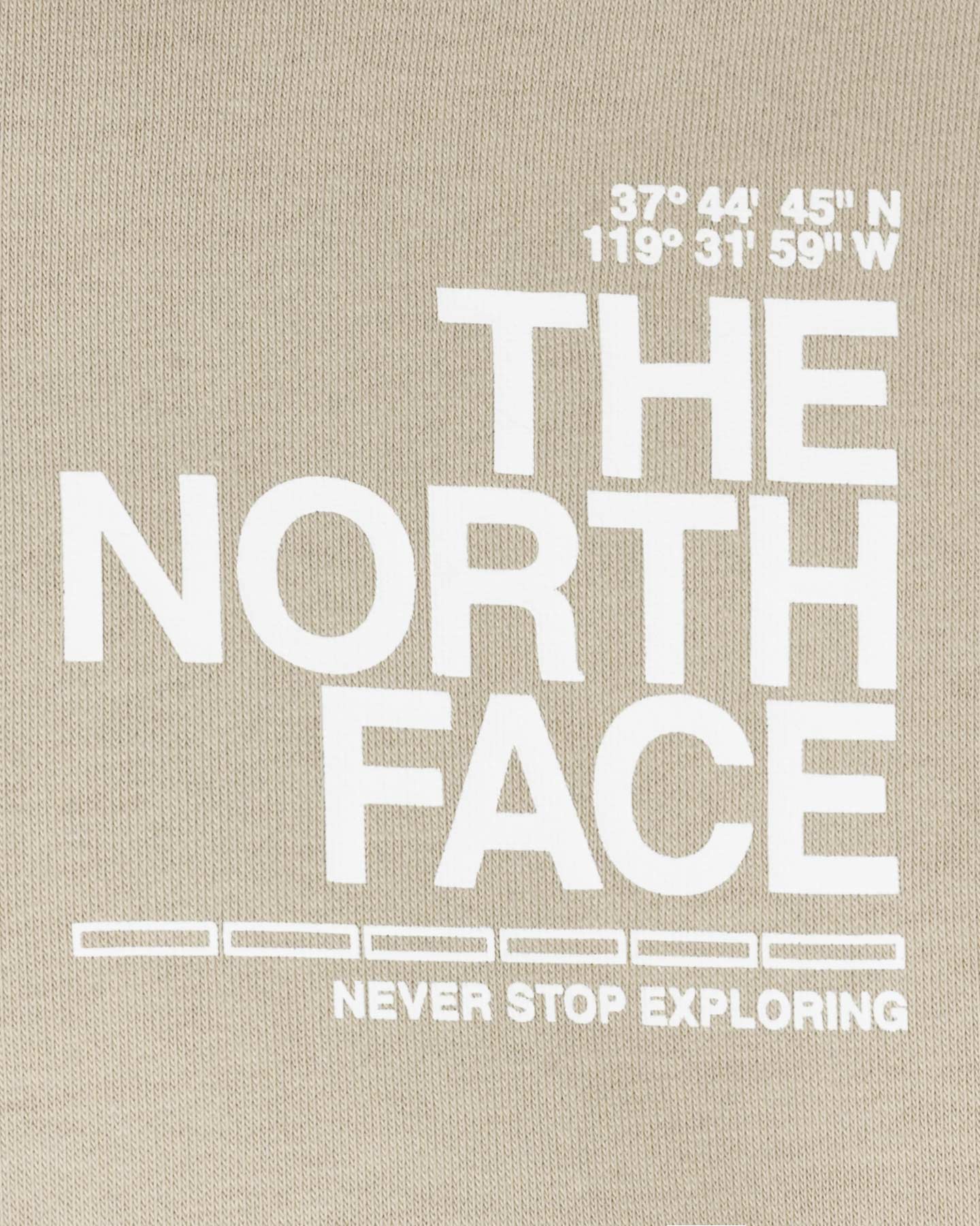 Felpa THE NORTH FACE BLANCA M - Grigio - 2 | Cisalfa Sport