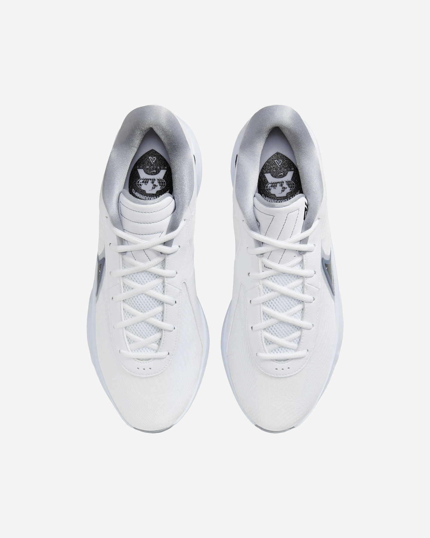 Scarpe basket NIKE ZOOM FREAK 6 M - Color mix - 2 | Cisalfa Sport