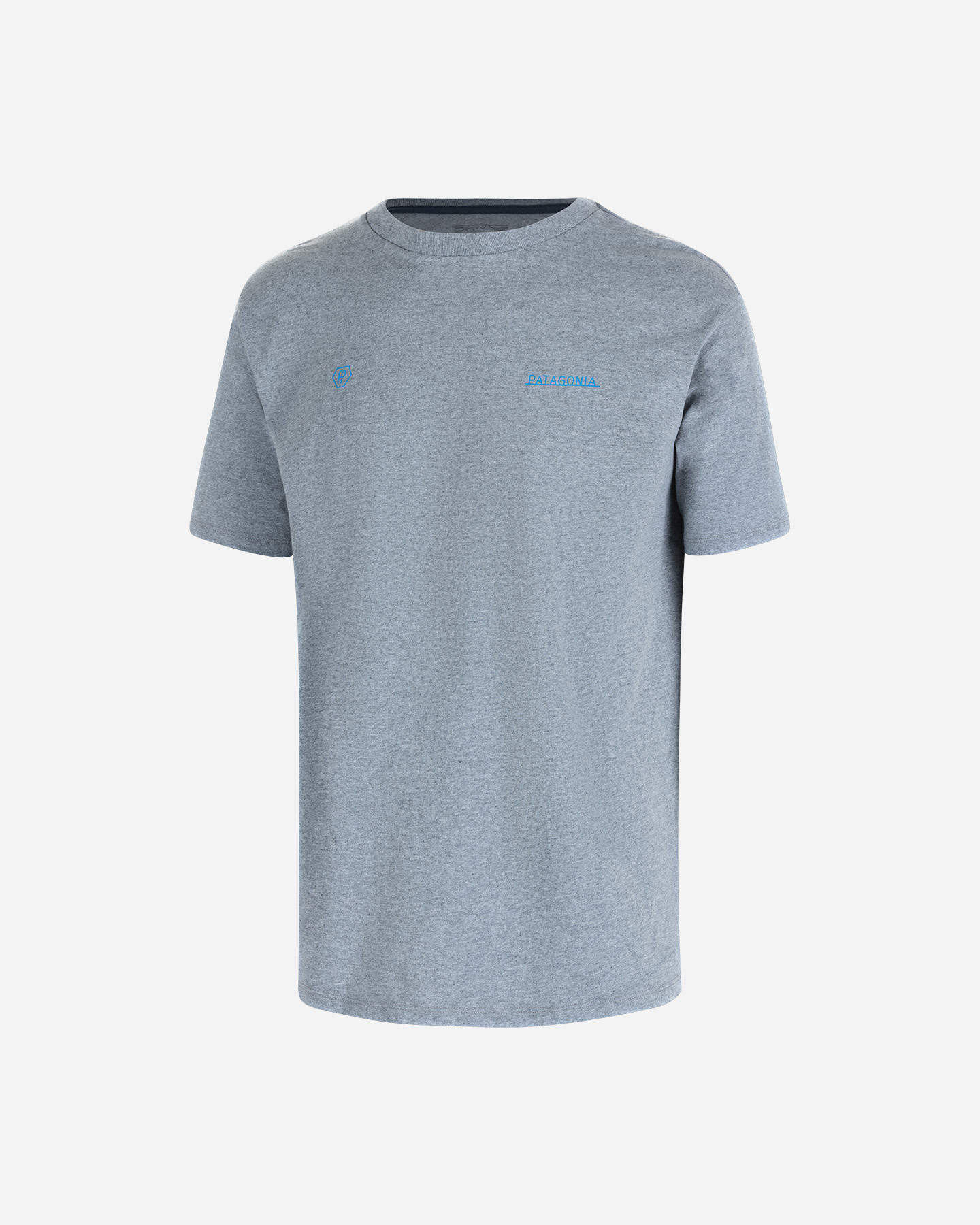 T-shirt PATAGONIA FORGE MARK M - Grigio - 0 | Cisalfa Sport