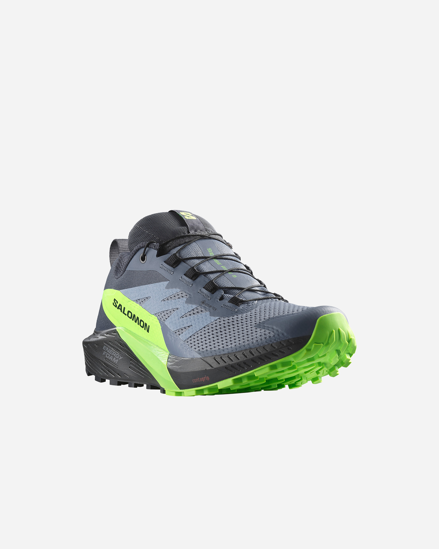 Scarpe trail SALOMON SENSE RIDE 5 GTX M - Grigio - 1 | Cisalfa Sport