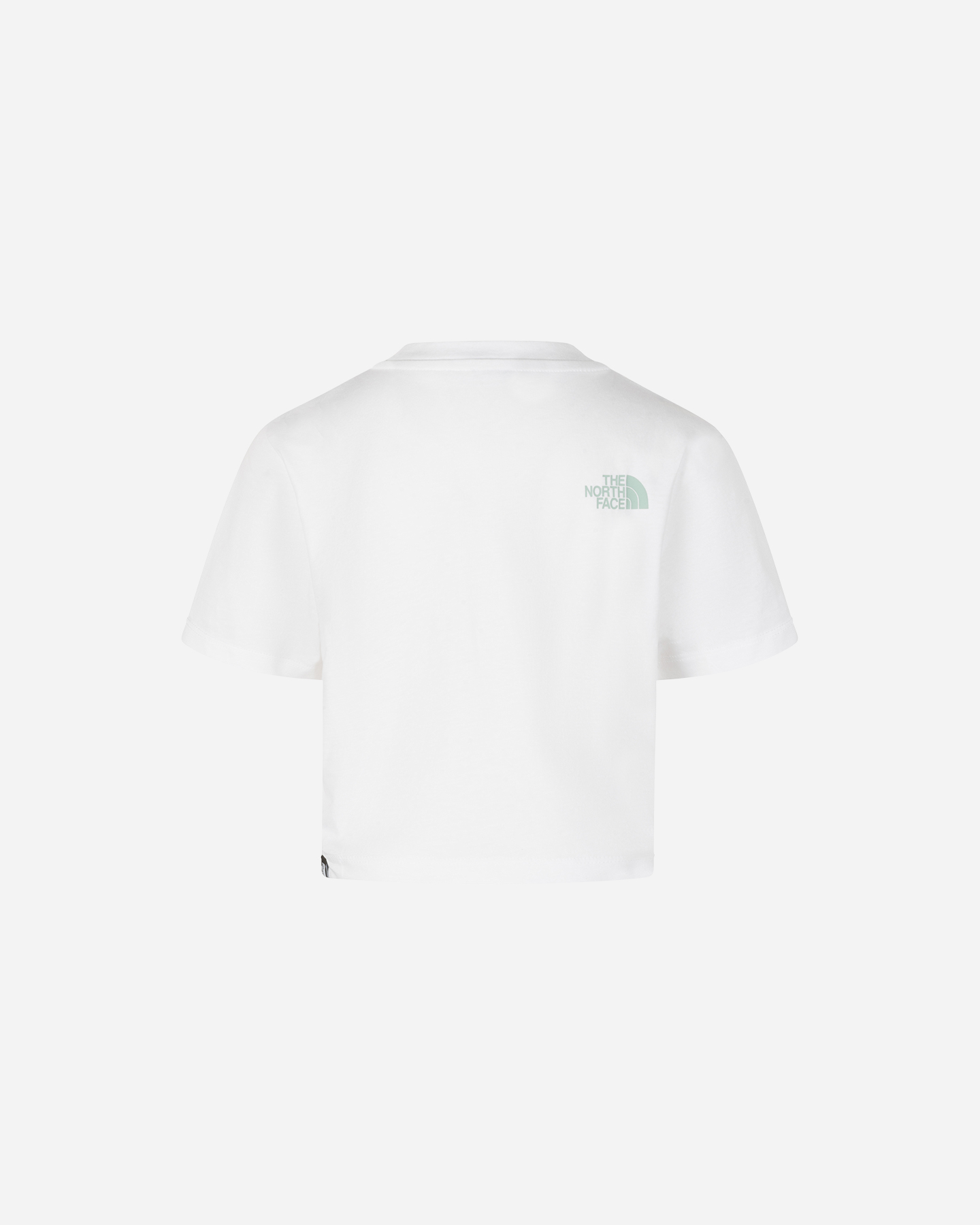 T-shirt THE NORTH FACE EASY BIG LOGO JR - Bianco - 1 | Cisalfa Sport