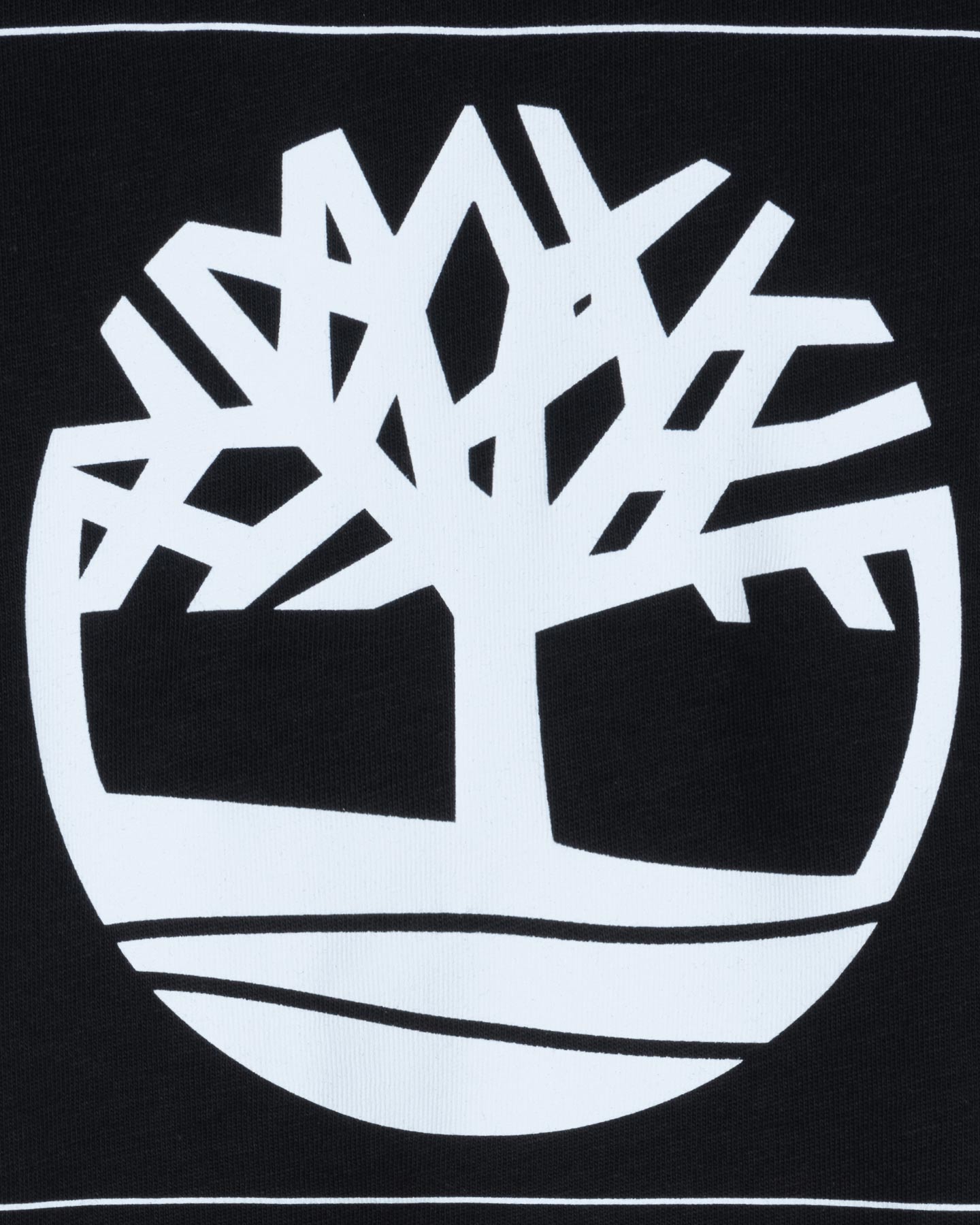 T-shirt TIMBERLAND TREE LOGO M - 5 | Cisalfa Sport