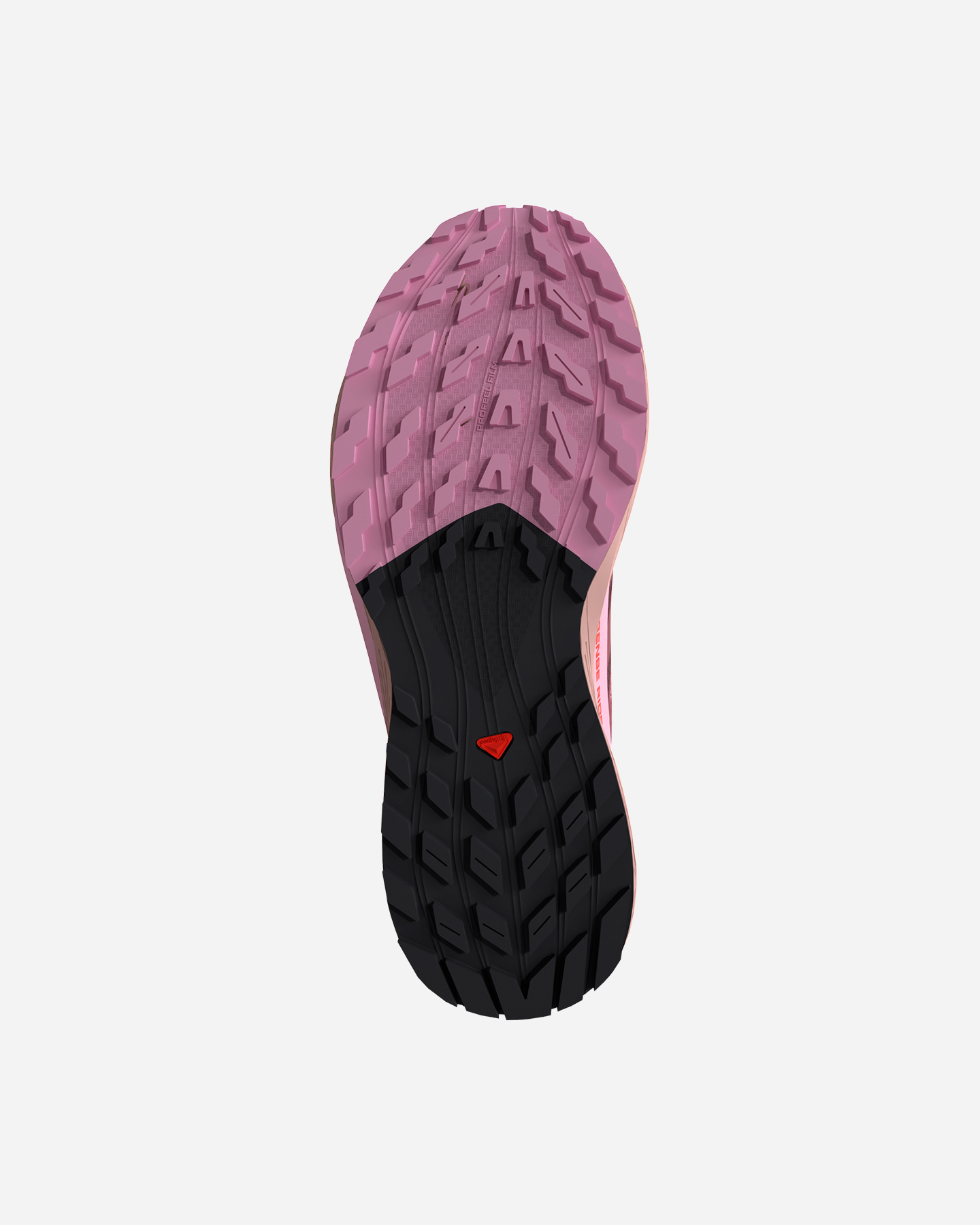 Scarpe trail SALOMON SENSE RIDE 5 GTX W - Viola - 2 | Cisalfa Sport