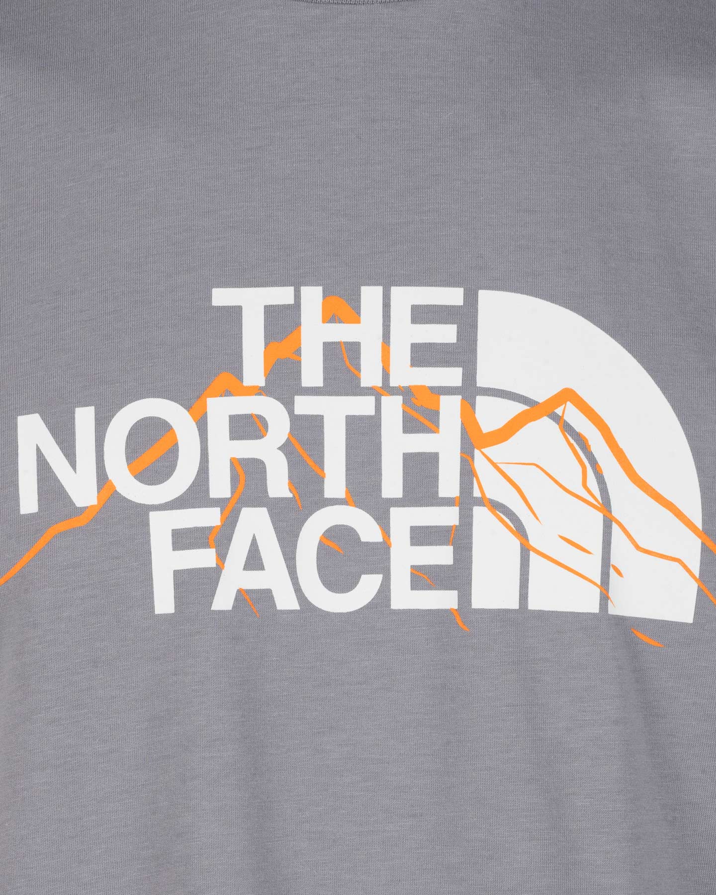 T-shirt THE NORTH FACE MOUNTAIN LINE M - Grigio - 2 | Cisalfa Sport