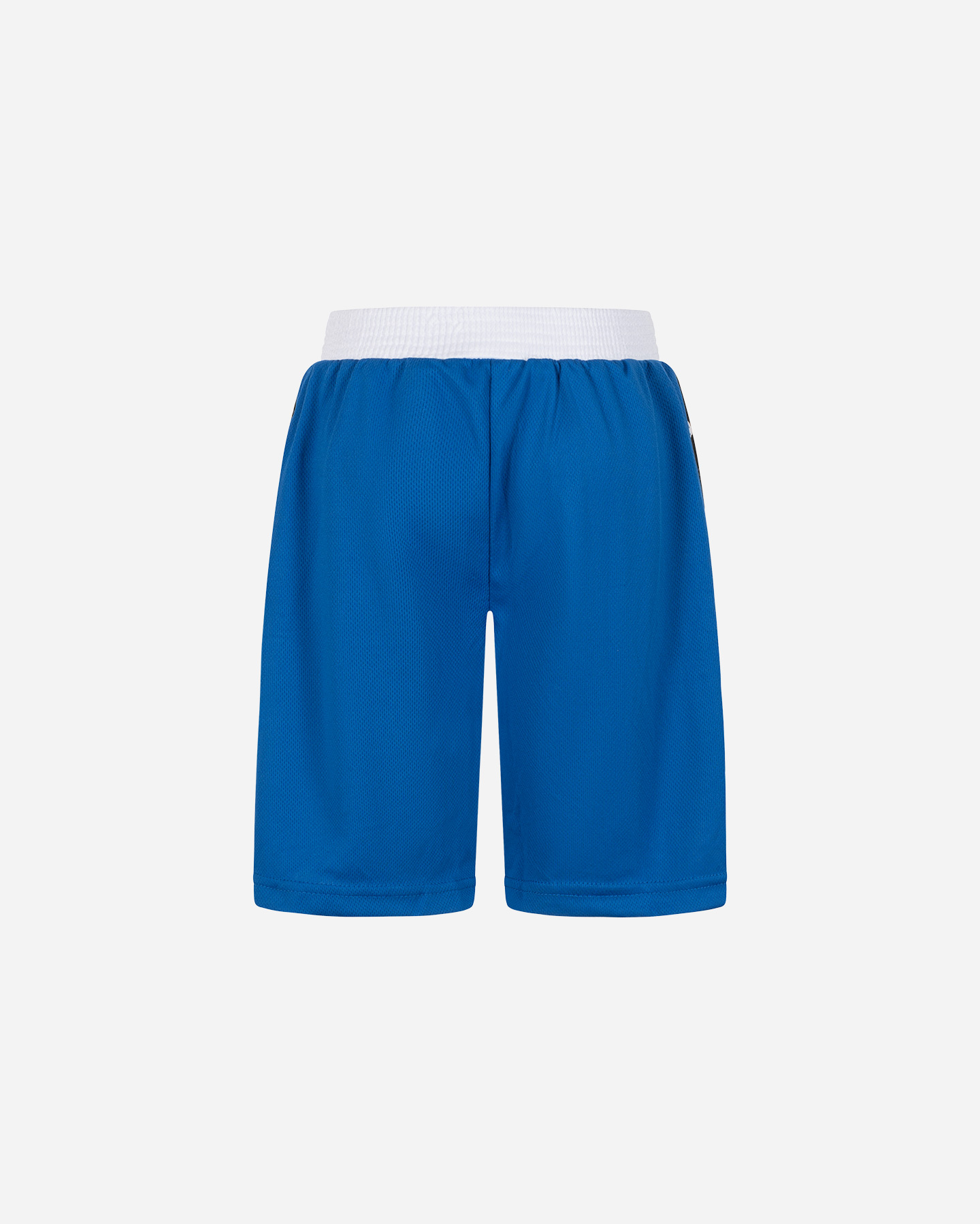 Pantaloncini LEONE BOXE ICONIC  - Blu - 1 | Cisalfa Sport