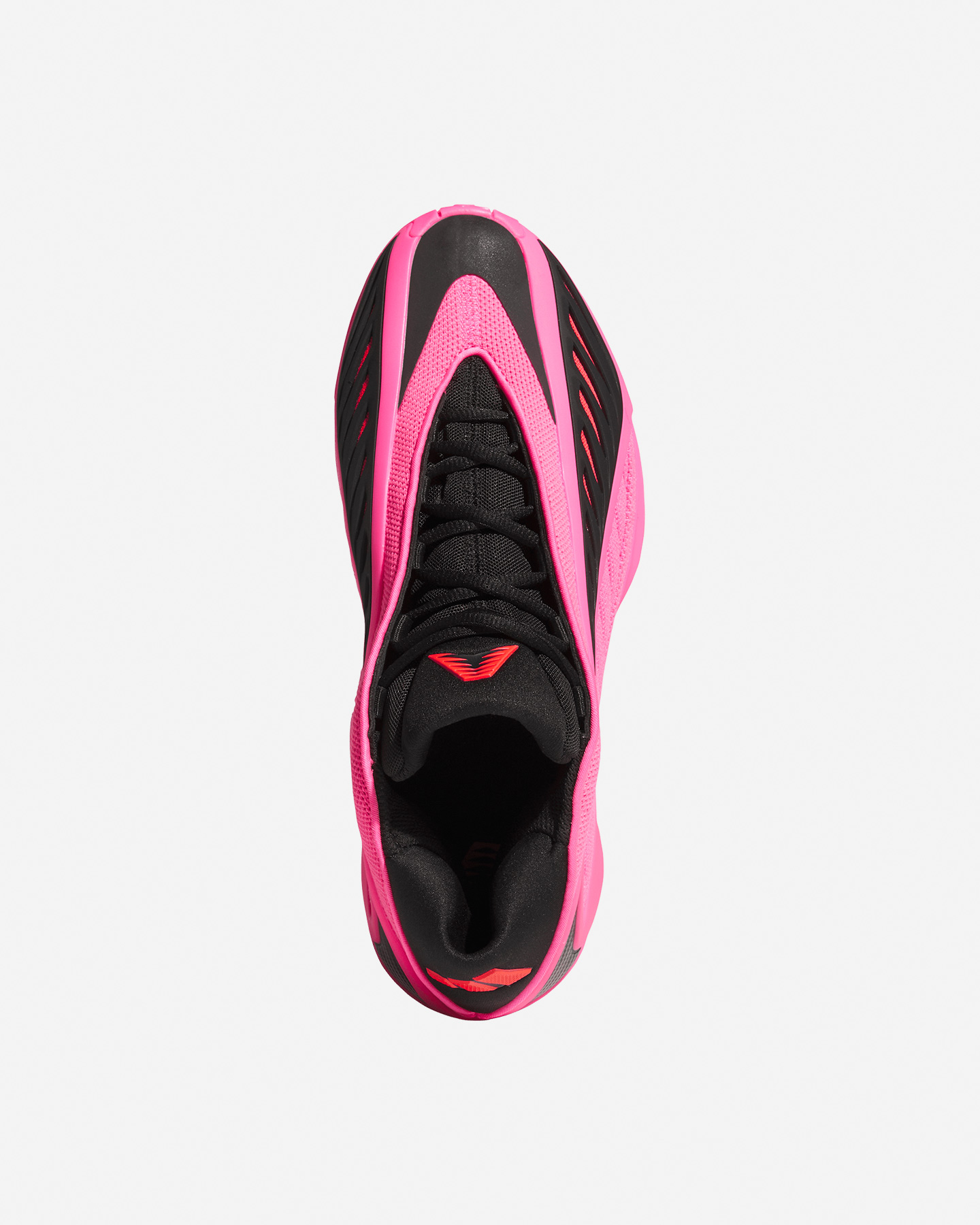 Scarpe basket ADIDAS ANTHONY EDWARDS 2 M - Fucsia - 2 | Cisalfa Sport