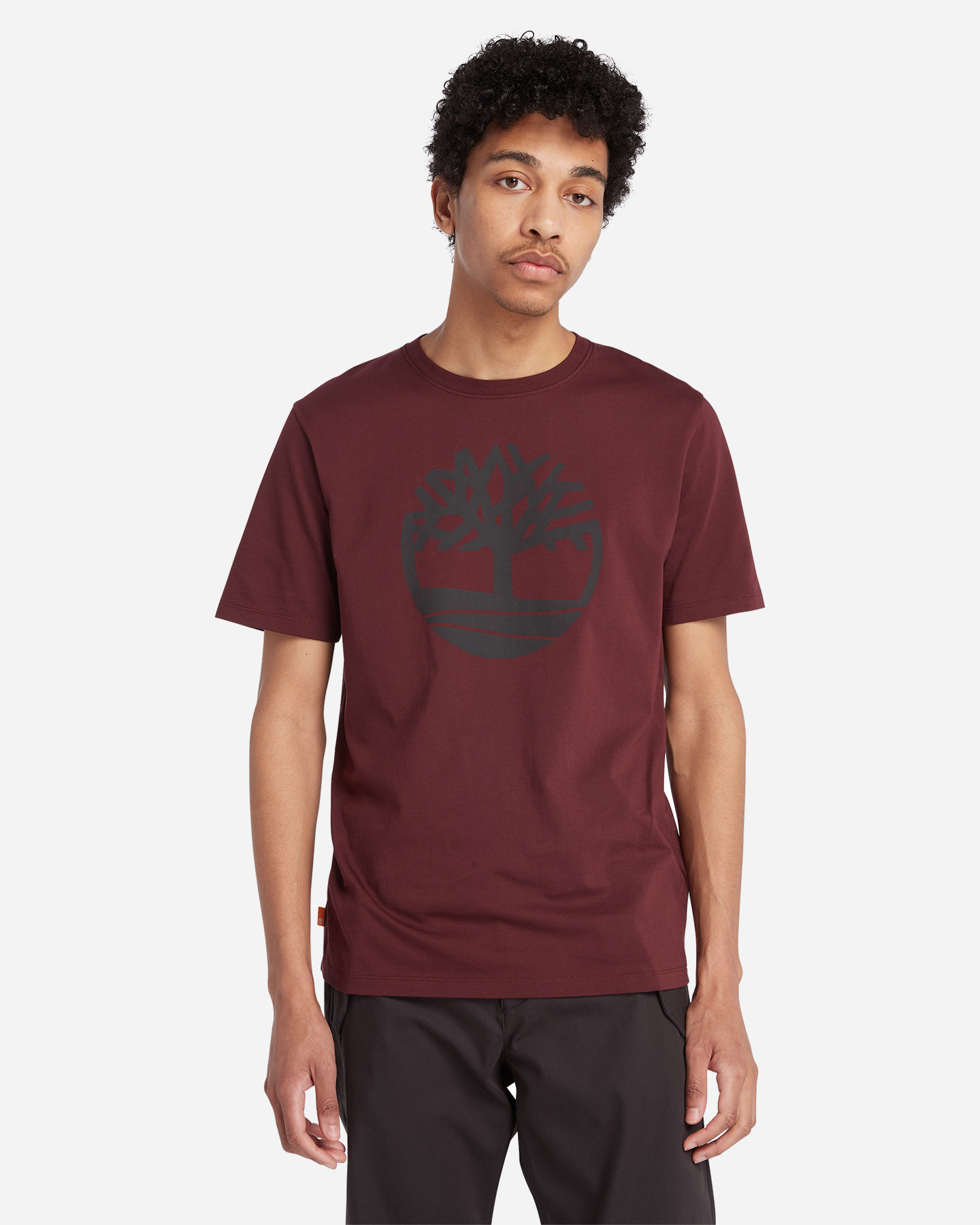 T-shirt TIMBERLAND KENNEBEC M - Rosso - 3 | Cisalfa Sport