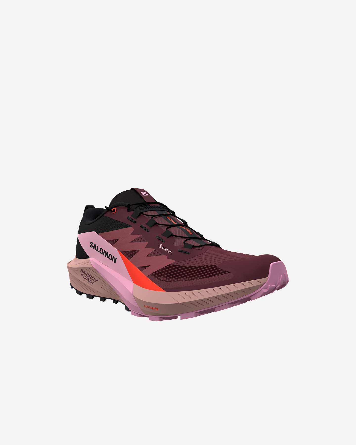 Scarpe trail SALOMON SENSE RIDE 5 GTX W - Viola - 1 | Cisalfa Sport