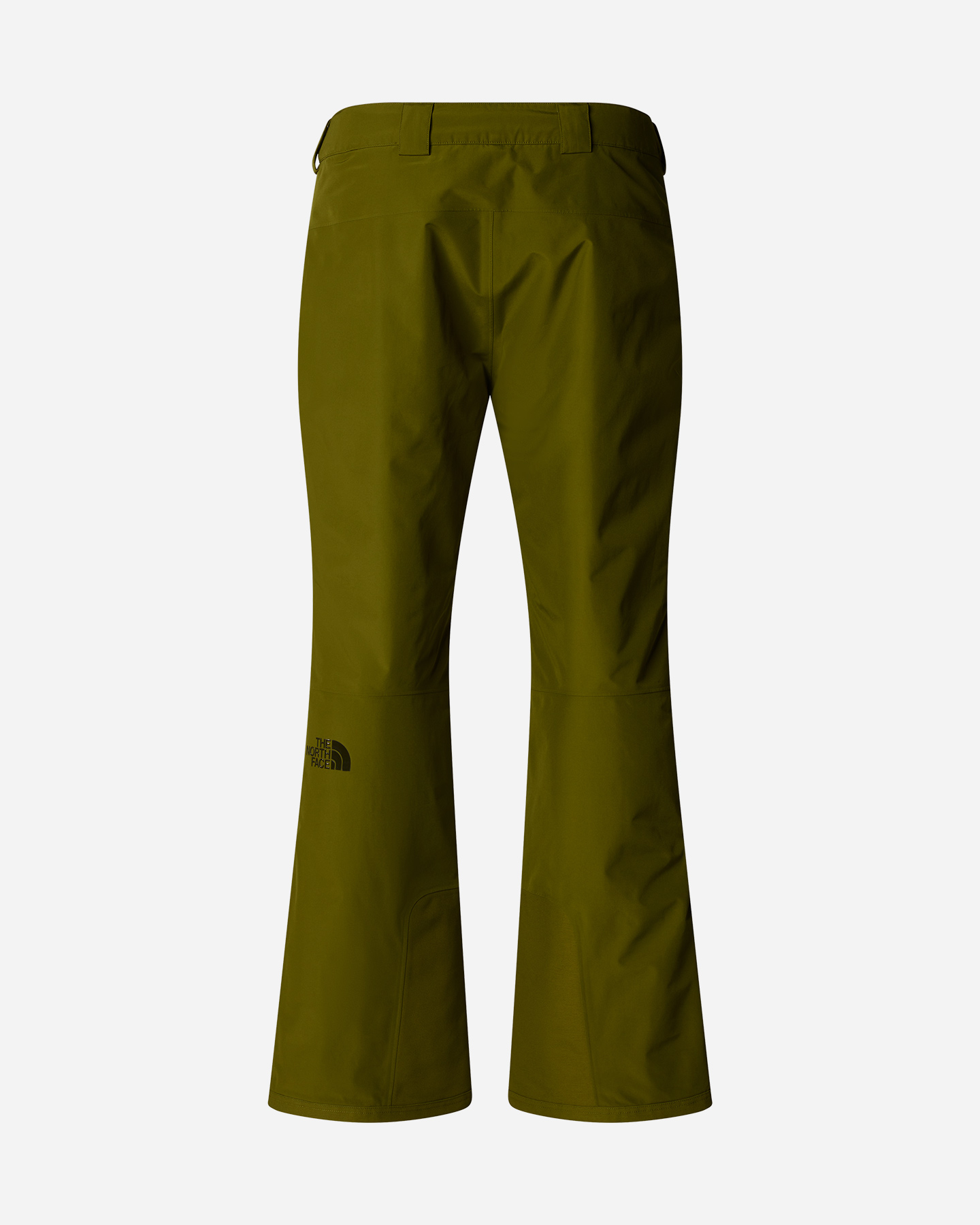 Pantalone sci THE NORTH FACE DESCENDIT M - Verde - 1 | Cisalfa Sport