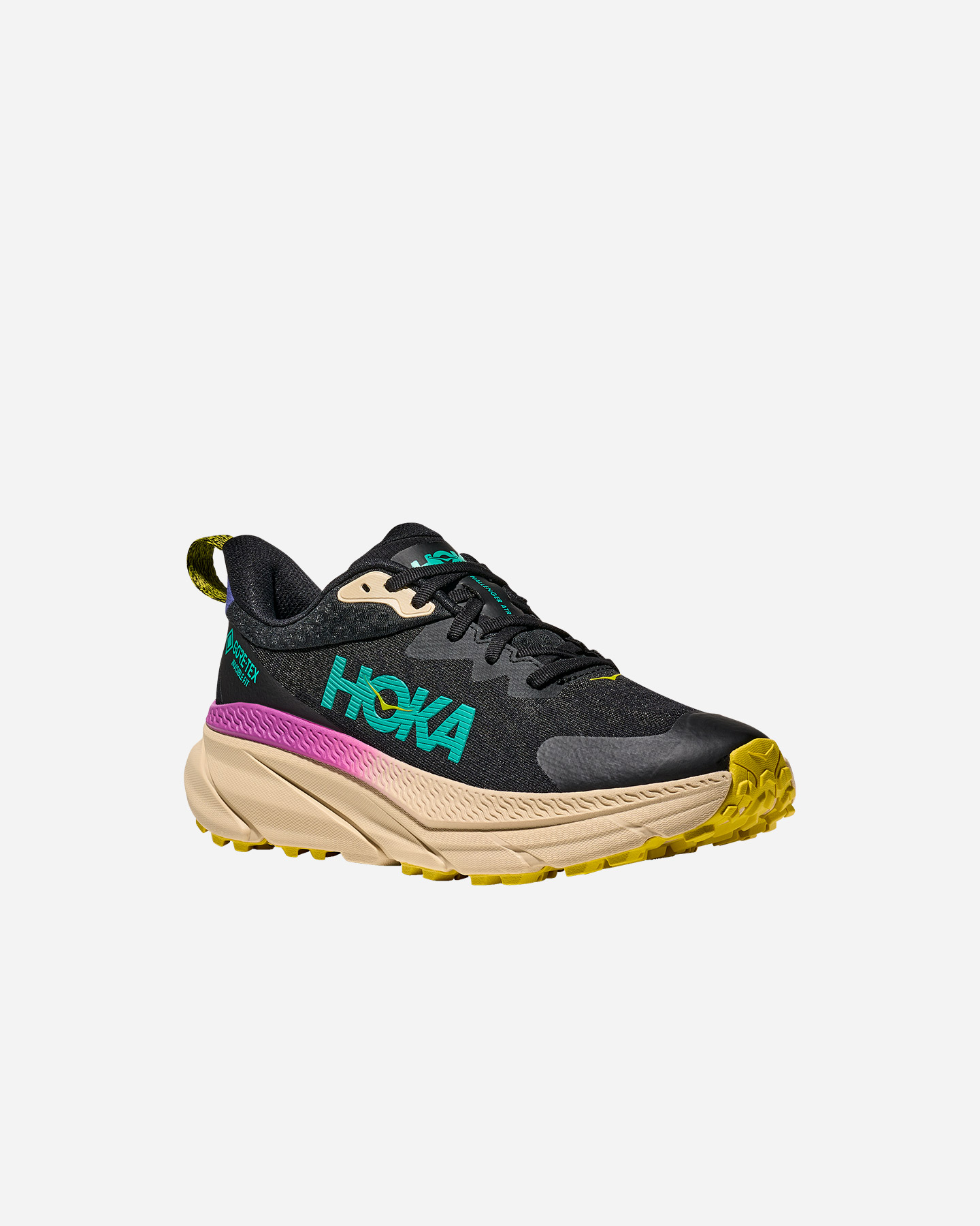 Scarpe trail HOKA CHALLENGER 7 GTX M - Nero - 1 | Cisalfa Sport