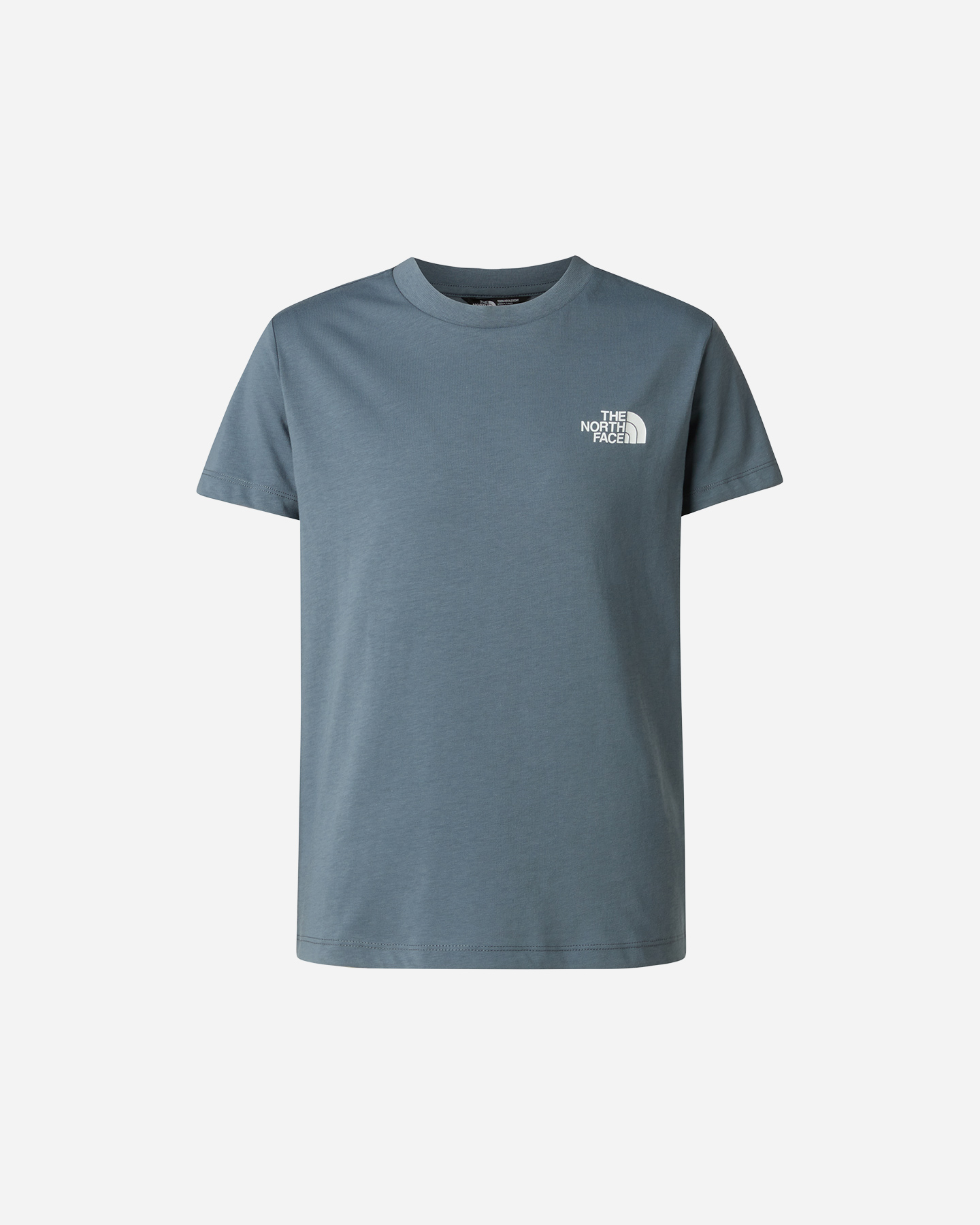 T-shirt THE NORTH FACE BOX NSE JR - Grigio - 0 | Cisalfa Sport