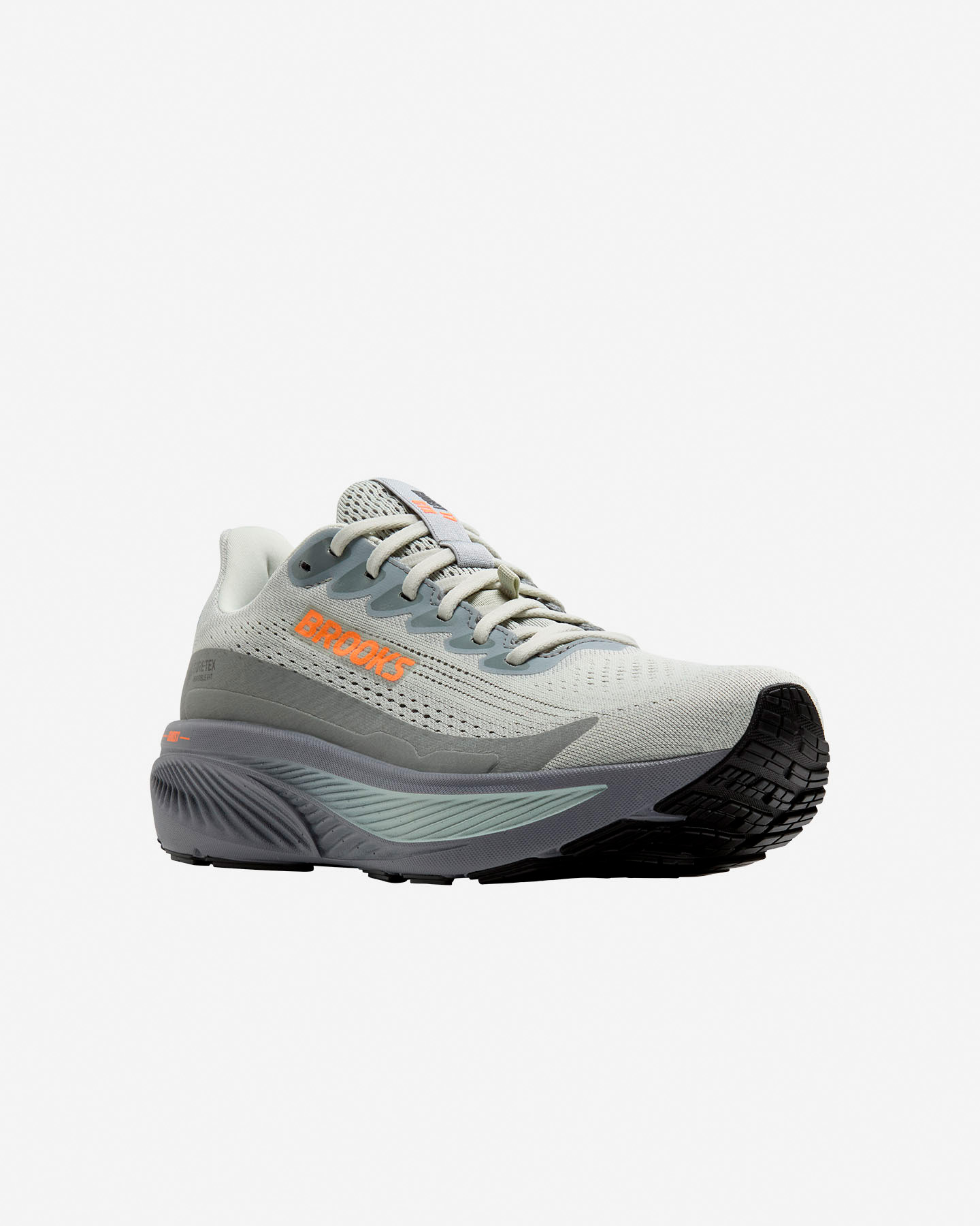 Scarpe running BROOKS GHOST 17 GTX M - Grigio - 1 | Cisalfa Sport