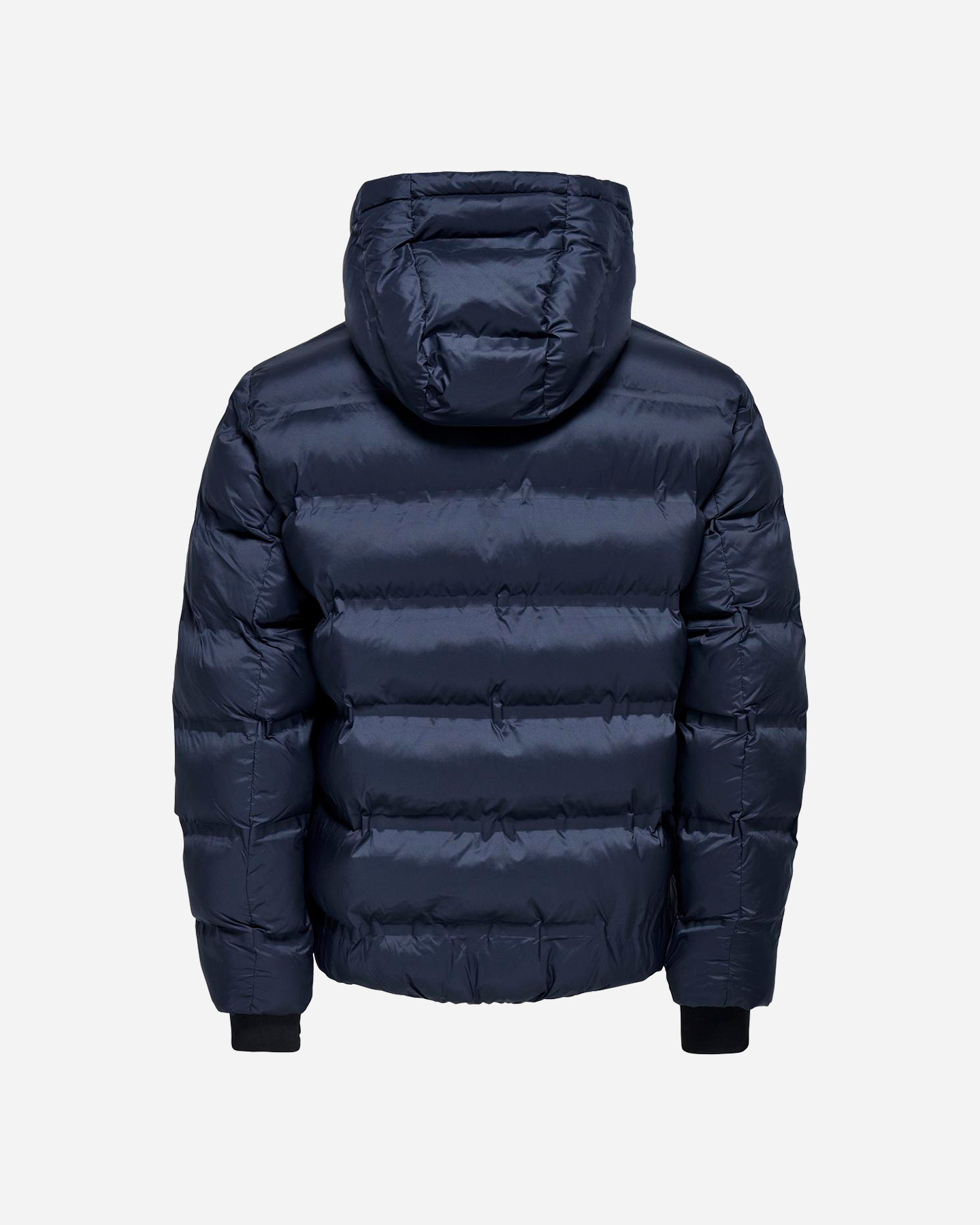 Giubbotto ONLY & SONS LIFE PUFFER M - Blu - 1 | Cisalfa Sport
