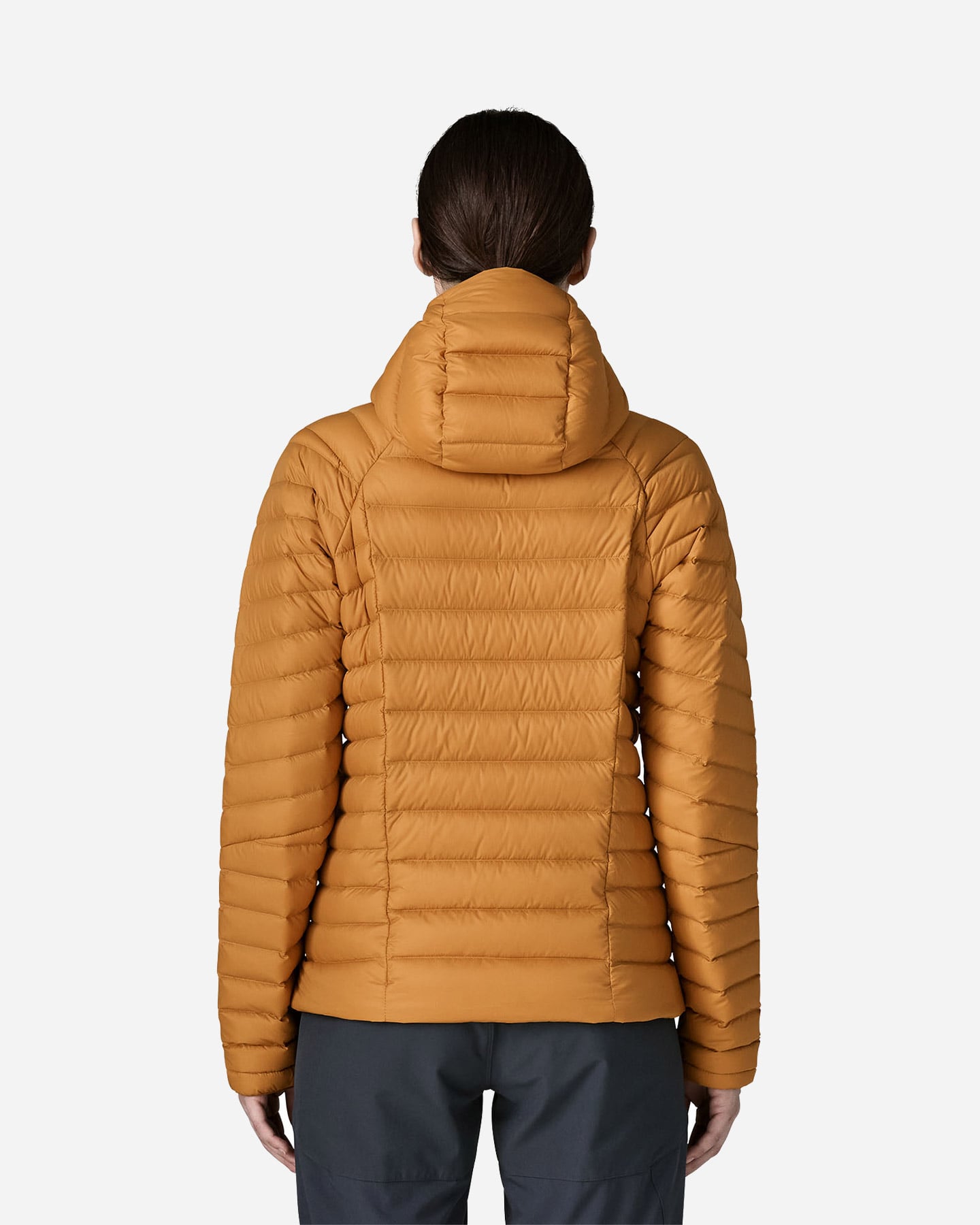 Piumino PATAGONIA DOWN SWEATER W - Marrone - 1 | Cisalfa Sport