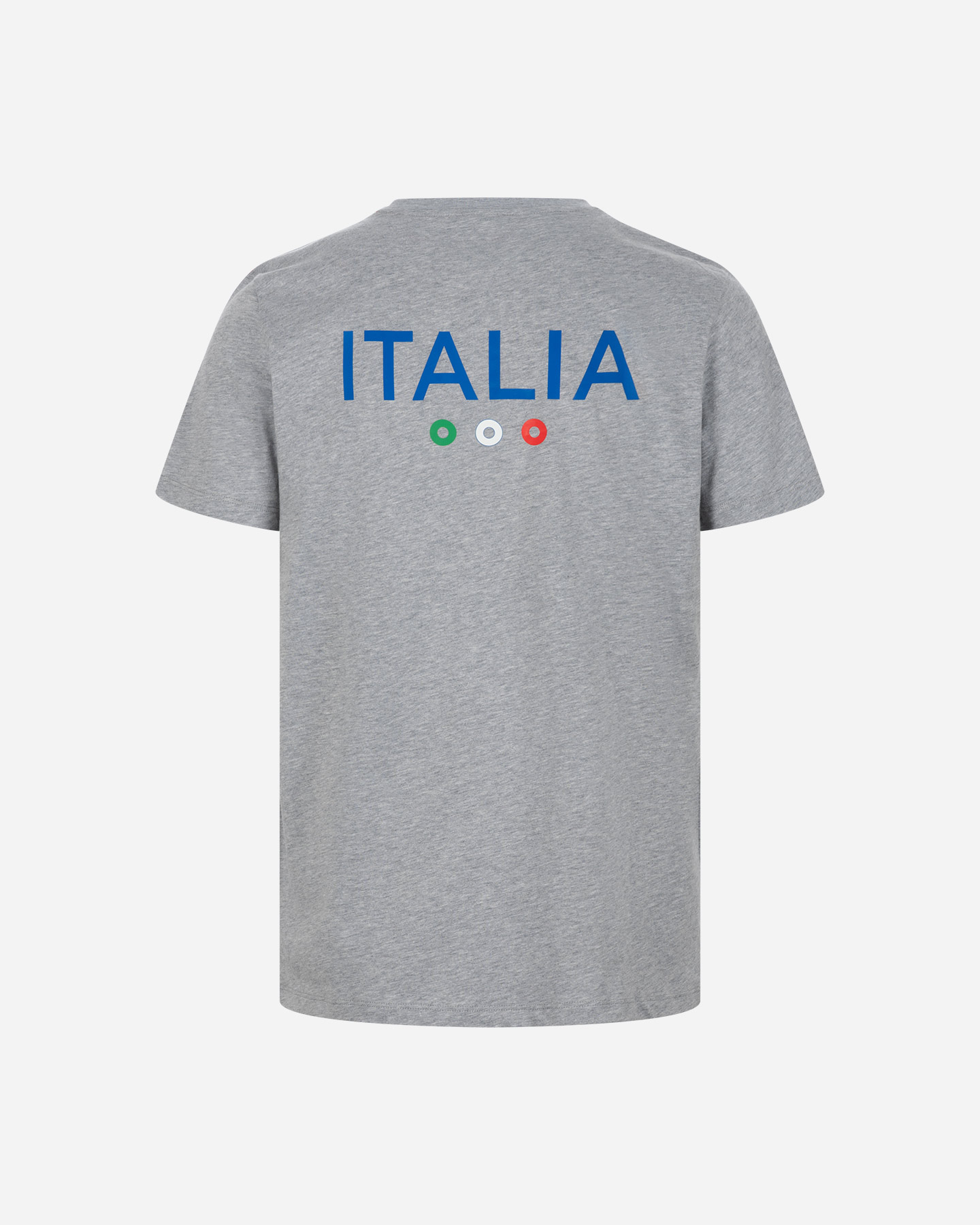 T-shirt ARENA ITALIA FIN TEAM STRIPE  - Grigio - 1 | Cisalfa Sport