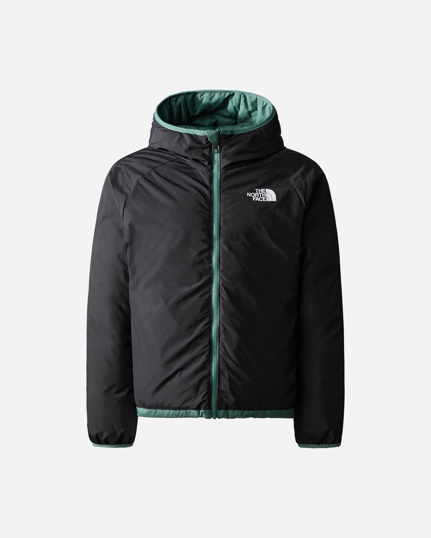 Piumino THE NORTH FACE NORTHD JR - Verde - 1 | Cisalfa Sport