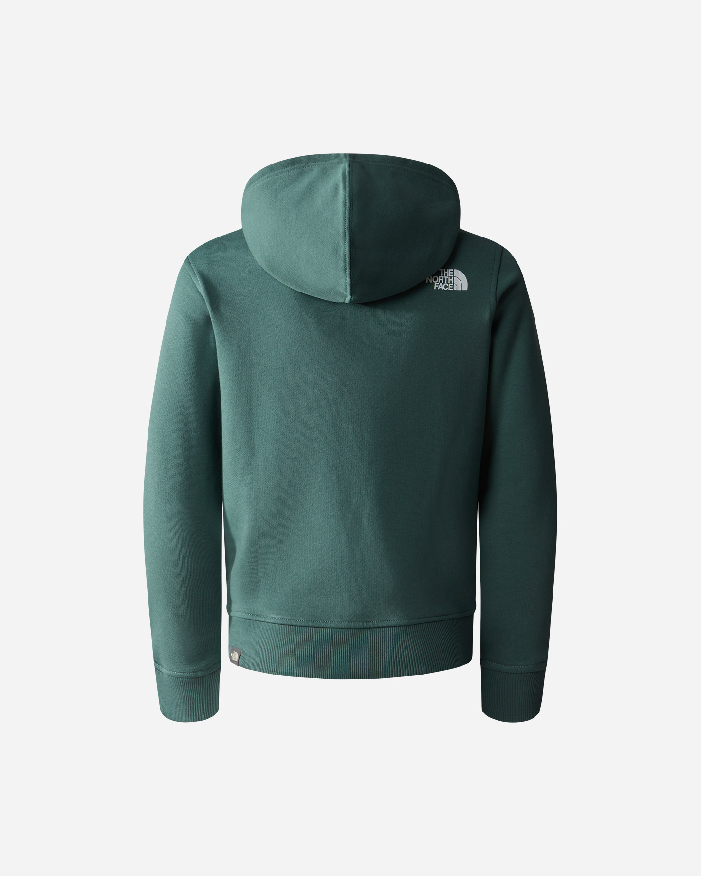 Felpa THE NORTH FACE LOGO BOX JR - Verde - 1 | Cisalfa Sport