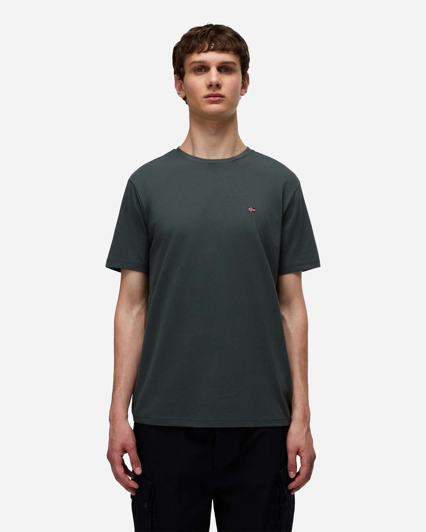 T-shirt NAPAPIJRI SALIS M - Verde - 2 | Cisalfa Sport