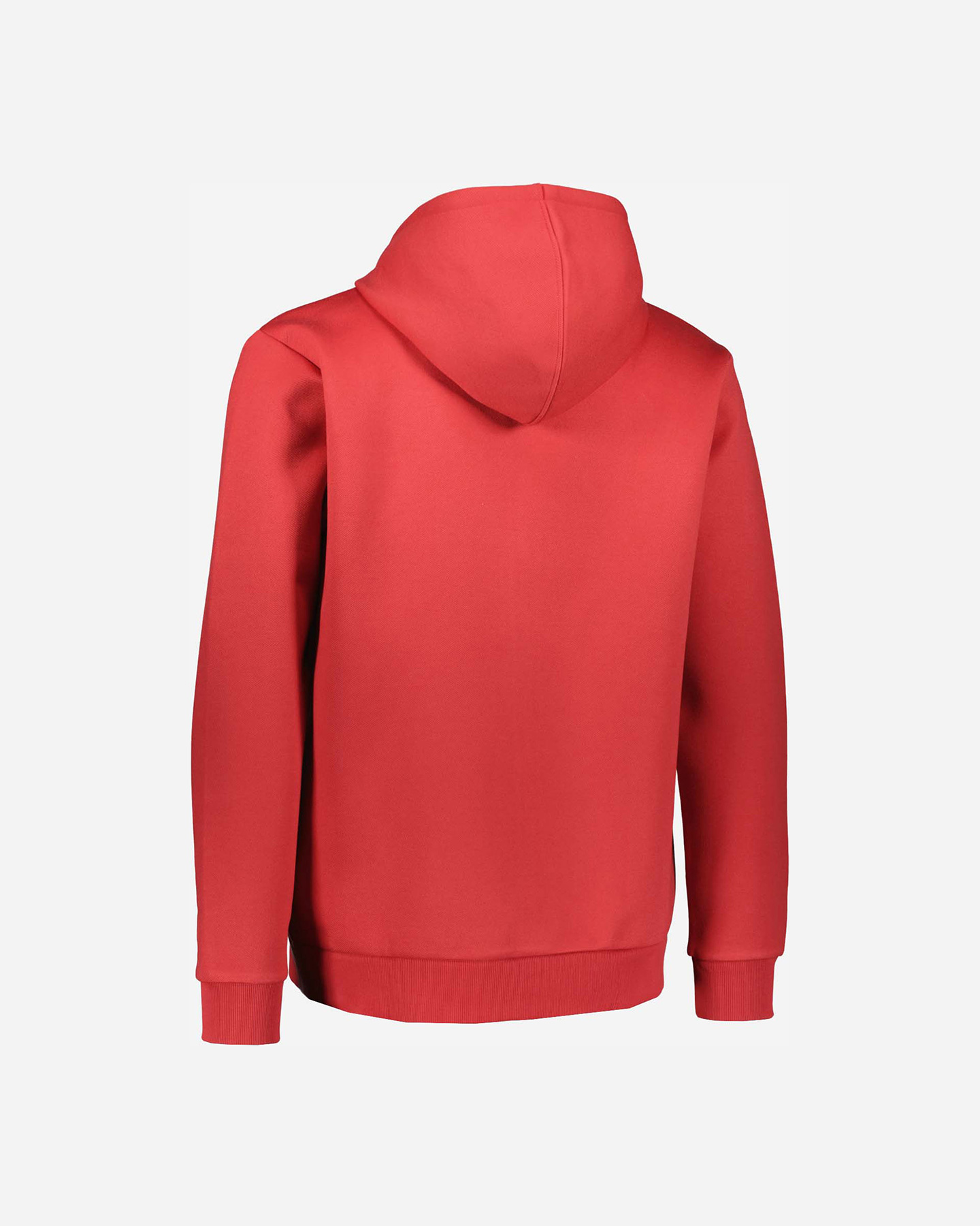 Felpa BEAR ICONIC M - Rosso - 1 | Cisalfa Sport