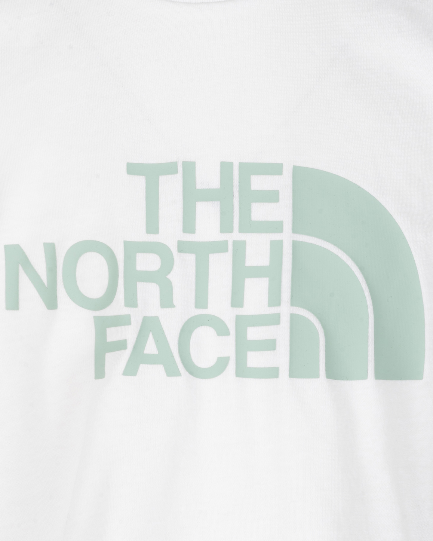 T-shirt THE NORTH FACE EASY BIG LOGO JR - Bianco - 2 | Cisalfa Sport