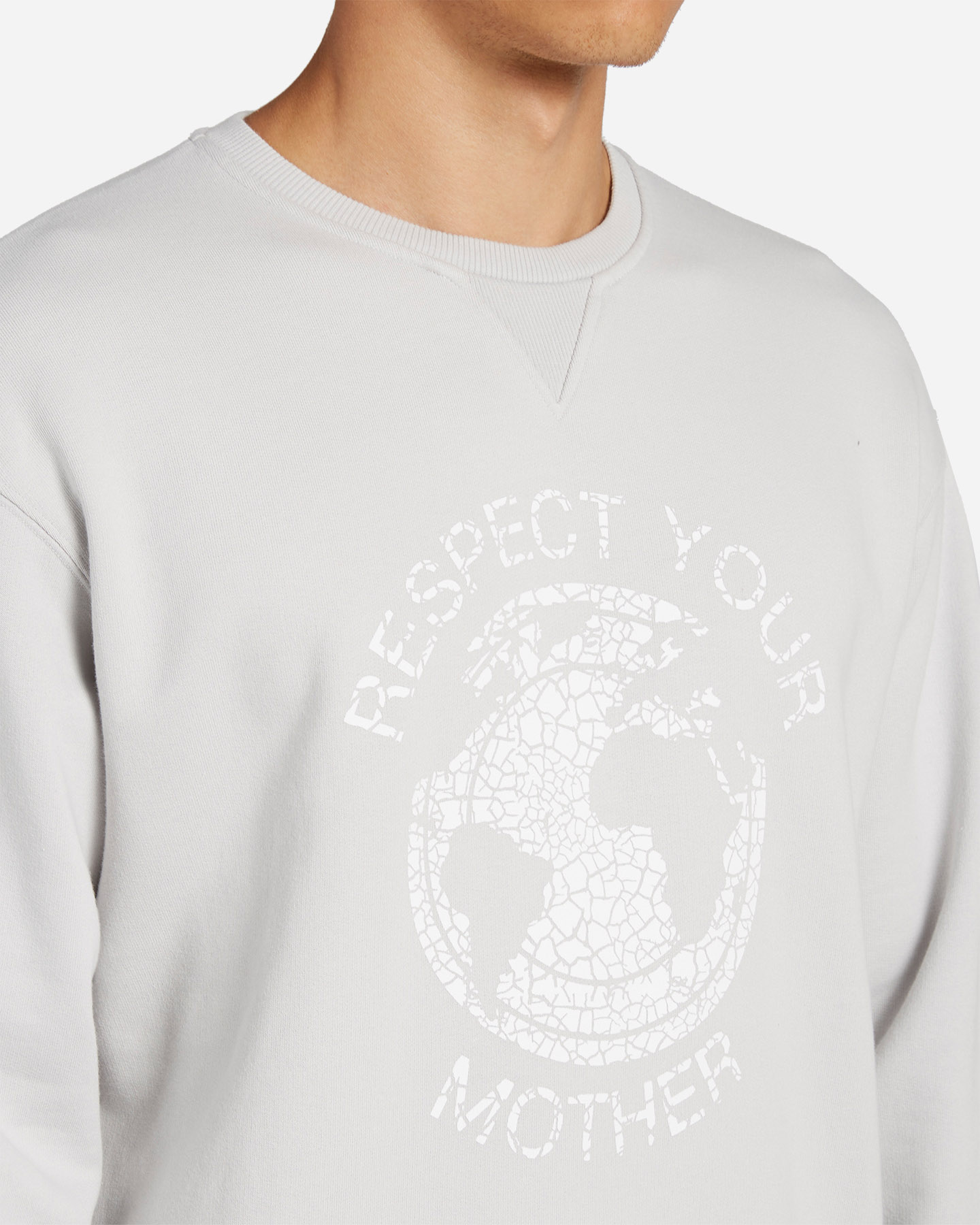 Felpa BEST COMPANY RESPECT YOUR PLANET M - Grigio - 4 | Cisalfa Sport