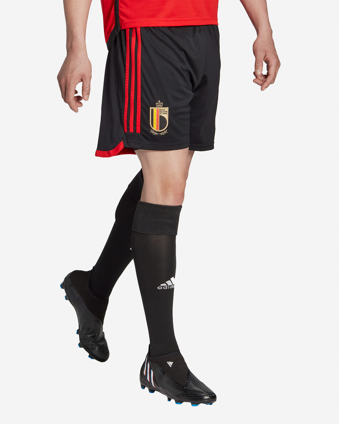 Pantaloncini calcio ufficiali ADIDAS BELGIO HOME M - 1 | Cisalfa Sport