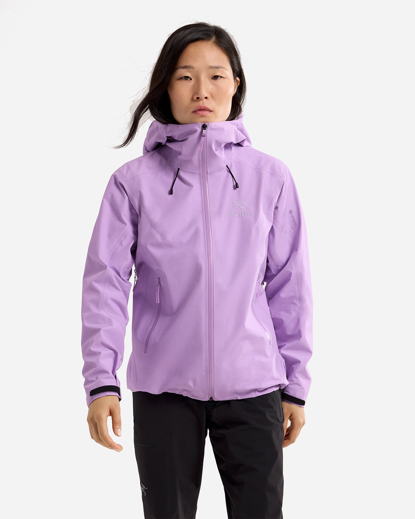 Giacca outdoor ARC'TERYX BETA LT GTX W - Lilla - 2 | Cisalfa Sport