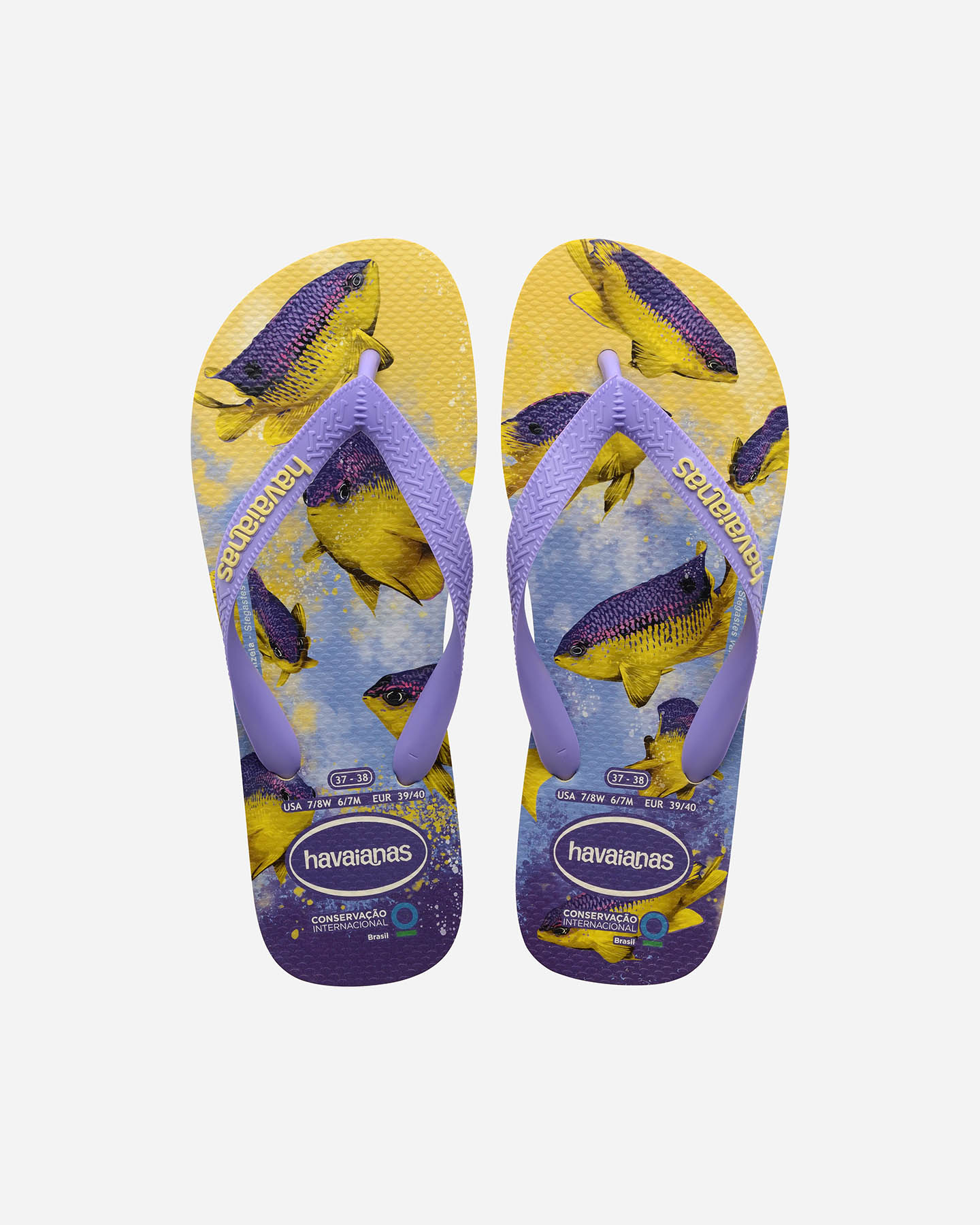 Infradito HAVAIANAS CONSERVATION M - 6 | Cisalfa Sport