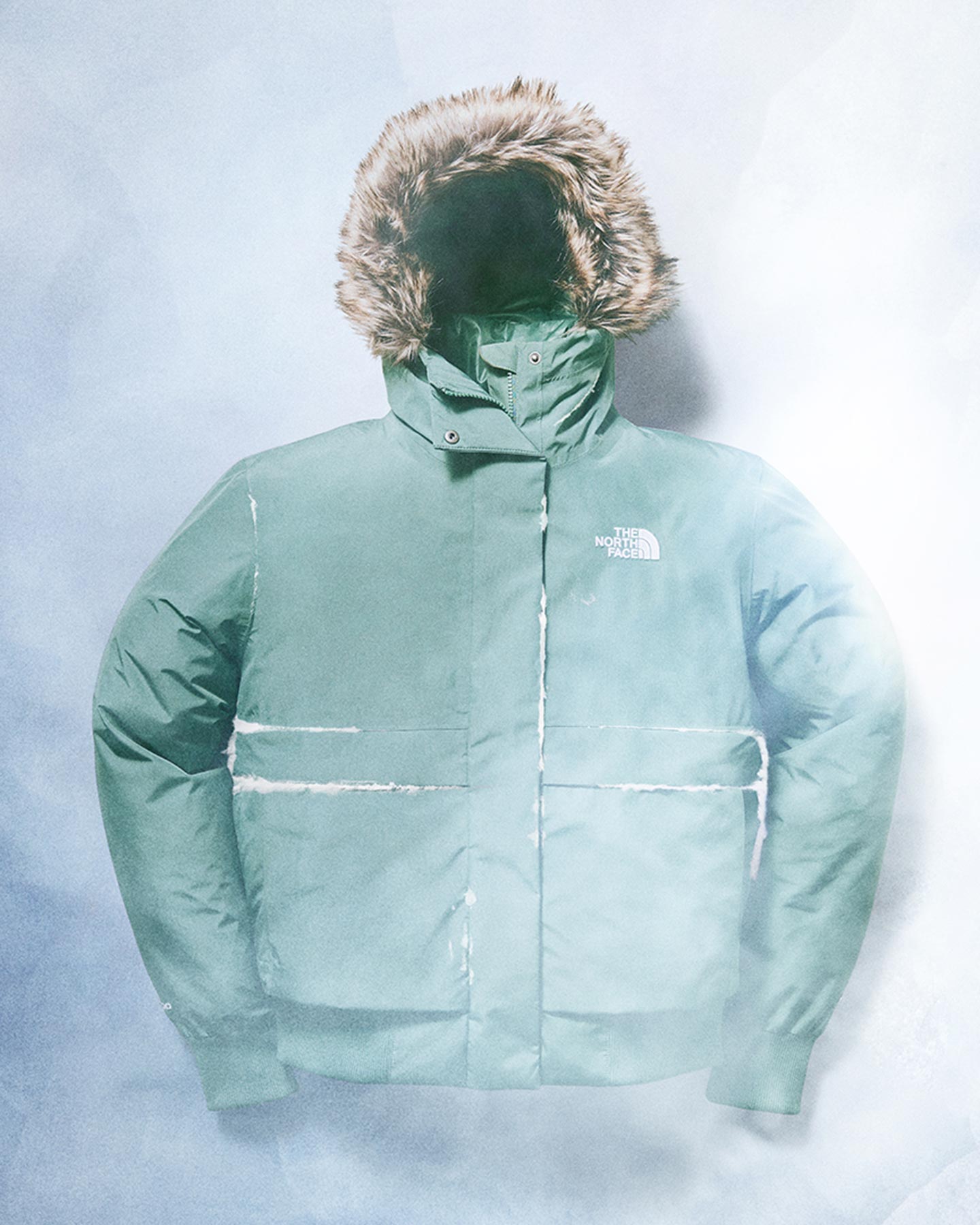 Piumino THE NORTH FACE ARCTIC BOMBER W - Verde - 4 | Cisalfa Sport
