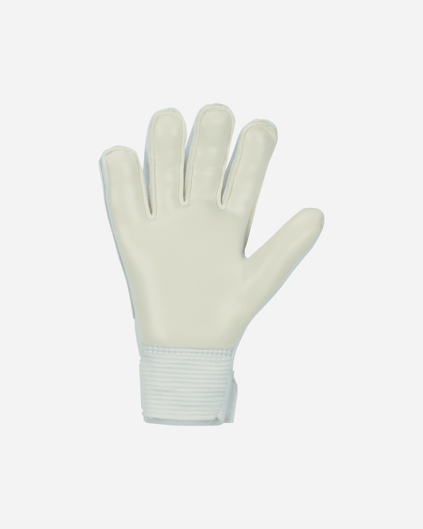Guanti portiere NIKE GOALKEEPER MATCH JR - Color mix - 2 | Cisalfa Sport