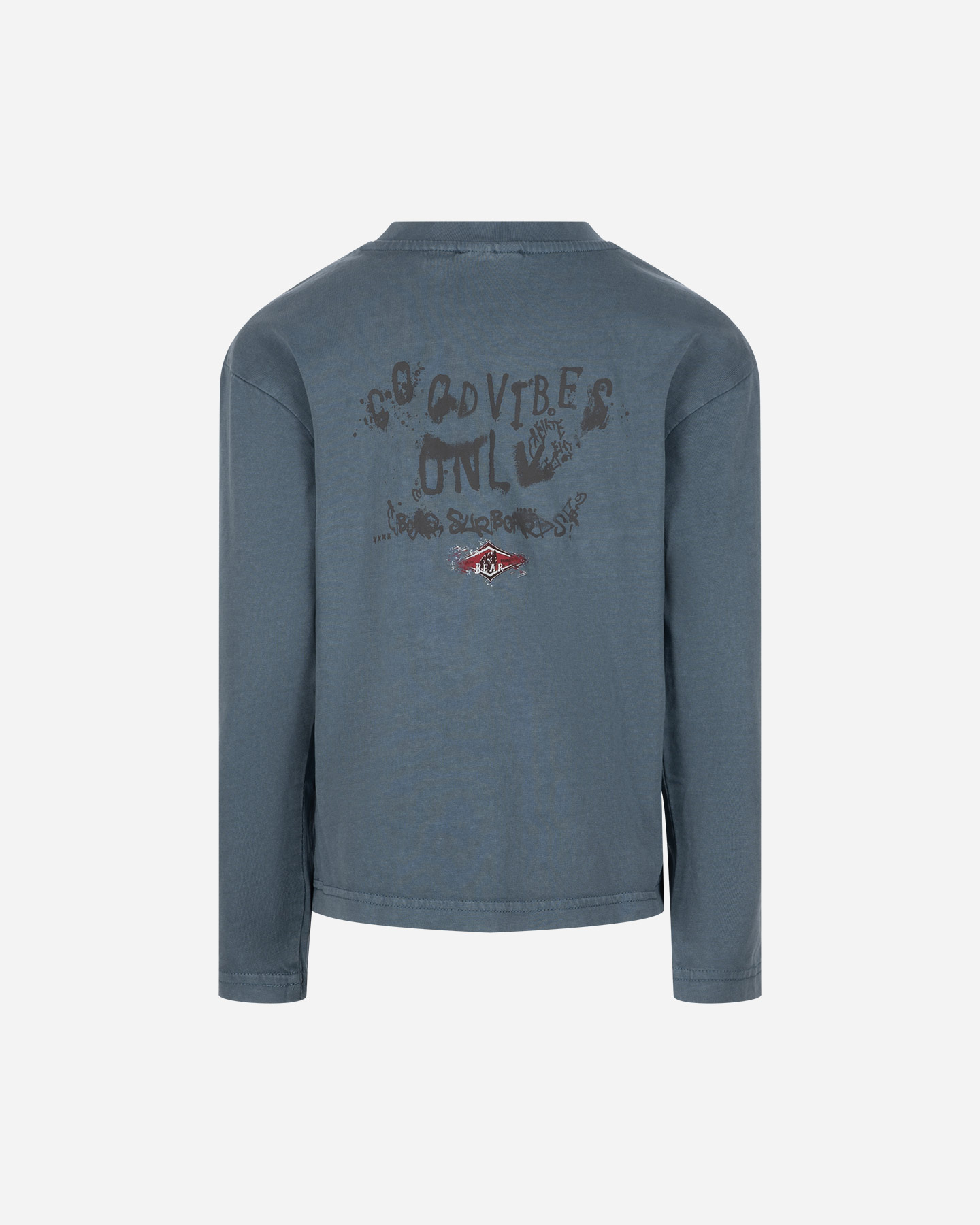 T-shirt BEAR SHORE BREAK JR - Blu - 1 | Cisalfa Sport