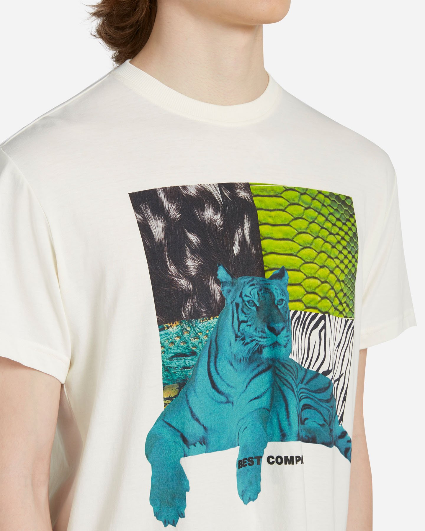 T-shirt BEST COMPANY BOX TIGRE M - Bianco - 4 | Cisalfa Sport