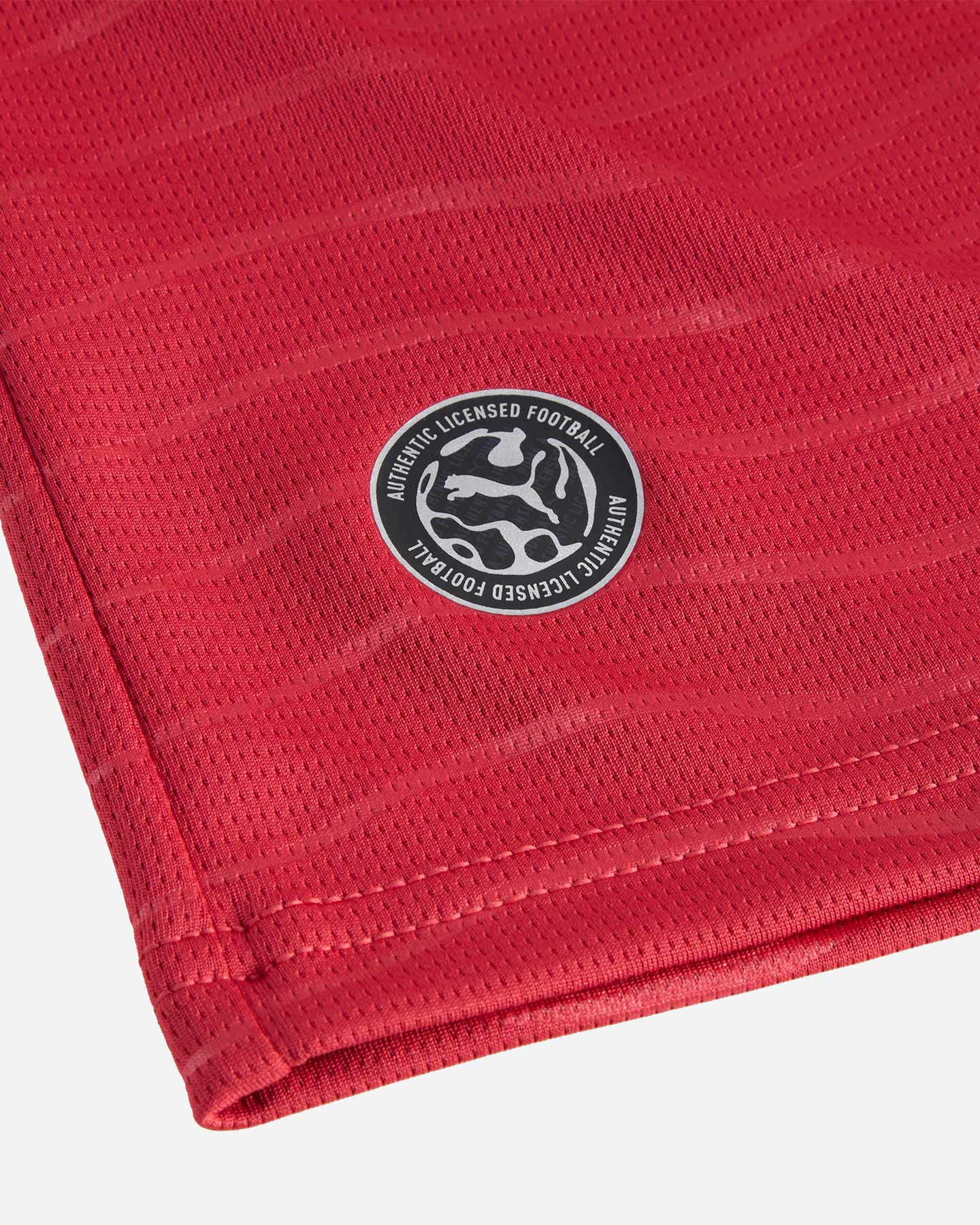 Maglia calcio ufficiale PUMA PORTOGALLO RONALDO HOME JR - Color mix - 2 | Cisalfa Sport