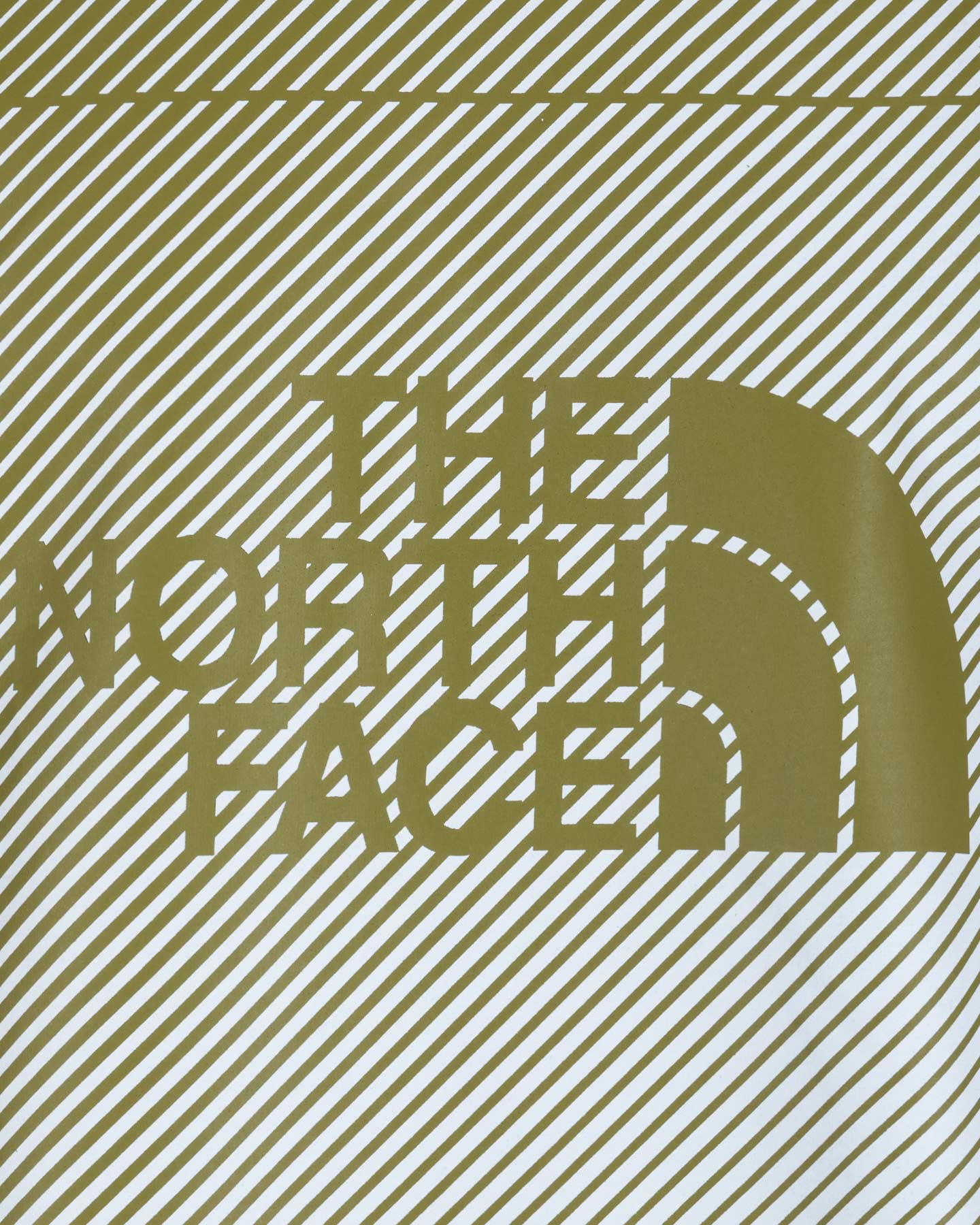 T-shirt THE NORTH FACE LOGO TACUNE M - 2 | Cisalfa Sport