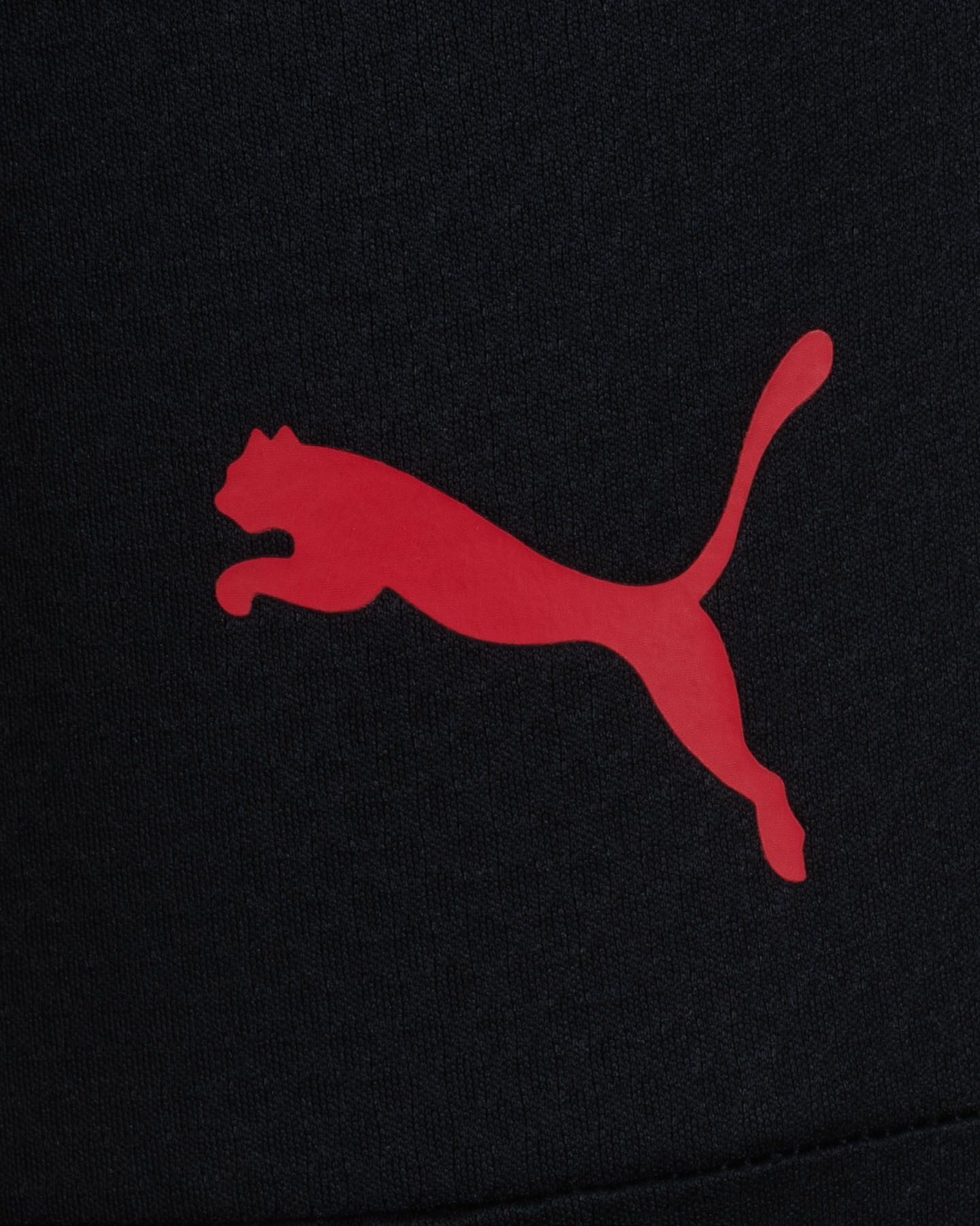 Abbigliamento calcio ufficiale PUMA MILAN TRAINING 23-24 M - Nero - 2 | Cisalfa Sport
