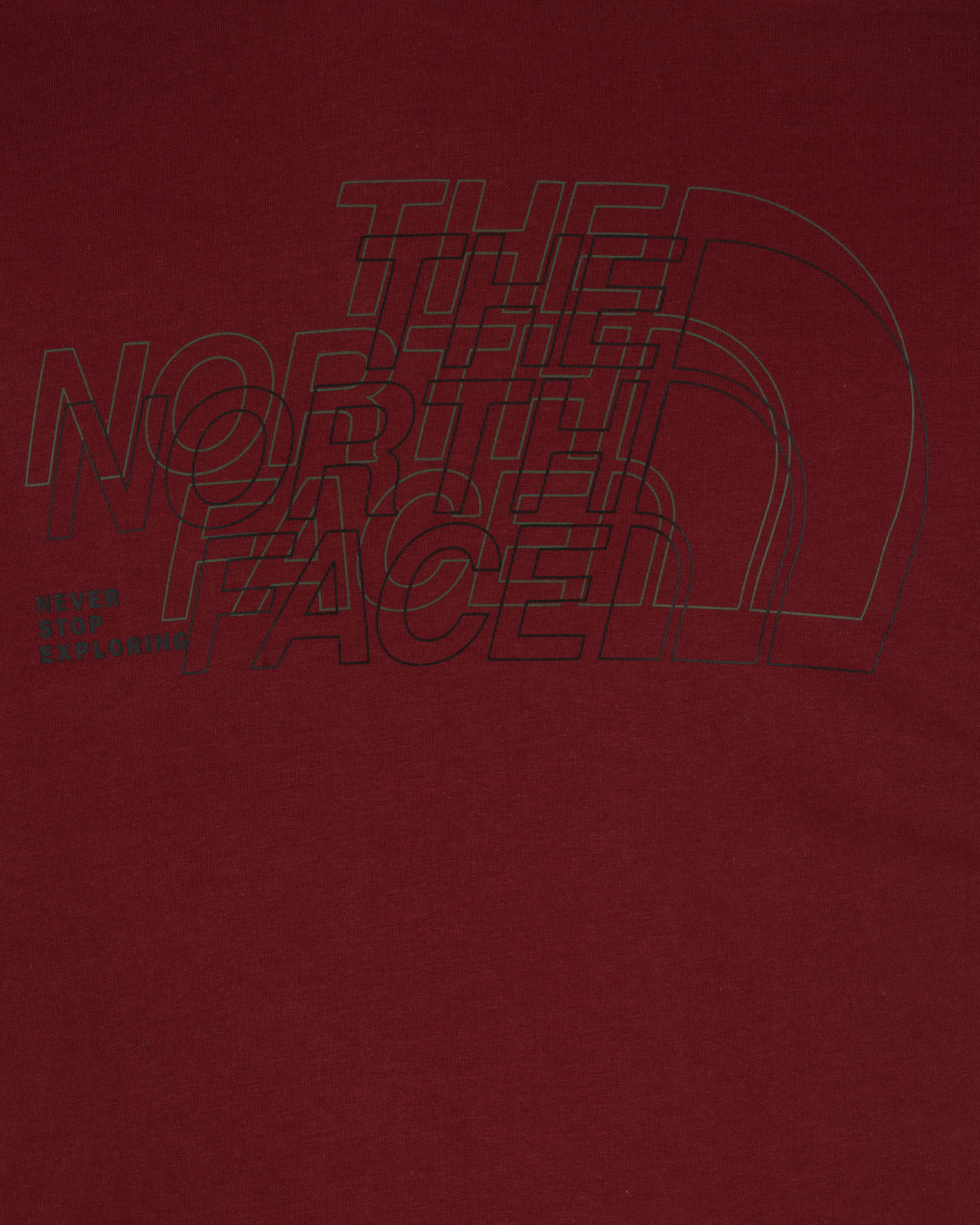 T-shirt THE NORTH FACE LOGO BIG LOGO M - 2 | Cisalfa Sport