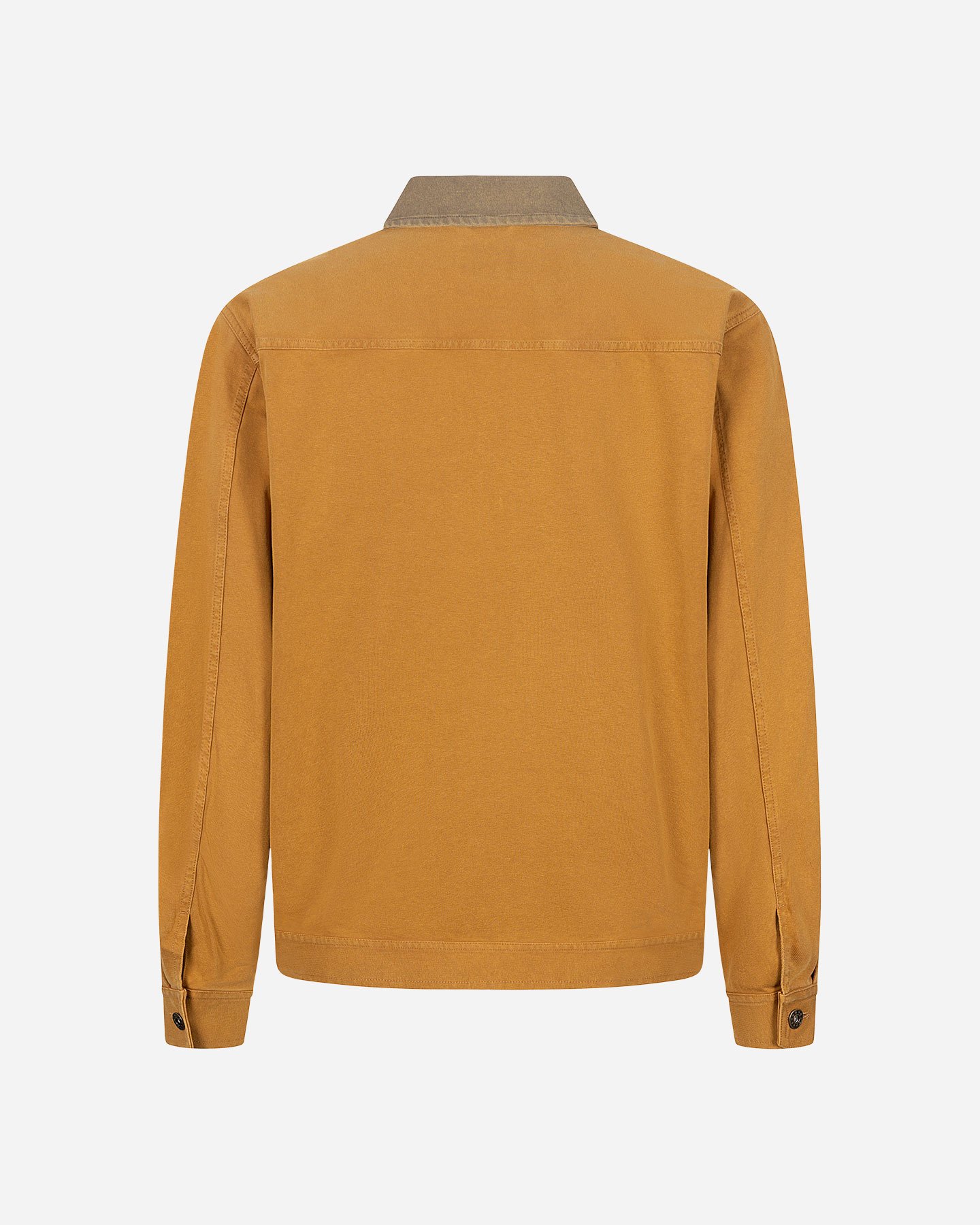 Giubbotto CONVERSE ZIP DOUBLE M - Giallo - 1 | Cisalfa Sport