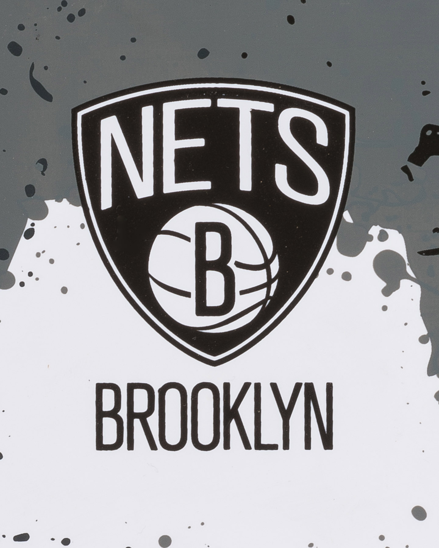 Canestro tabellone basket WILSON NBA TEAM BROOKLYN NETS - Nero - 1 | Cisalfa Sport