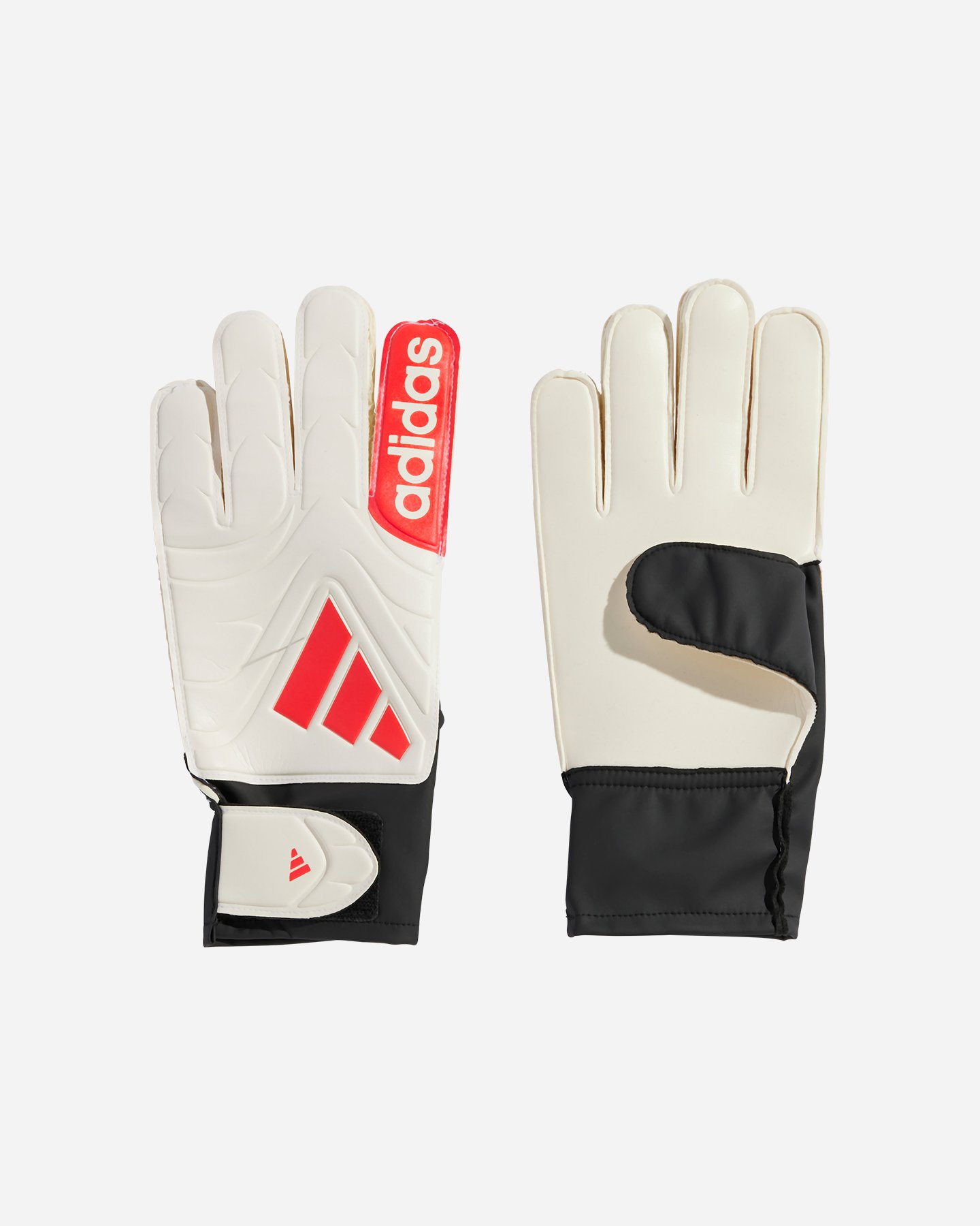 Guanti portiere ADIDAS COPA GL CLUB M - Color mix - 0 | Cisalfa Sport