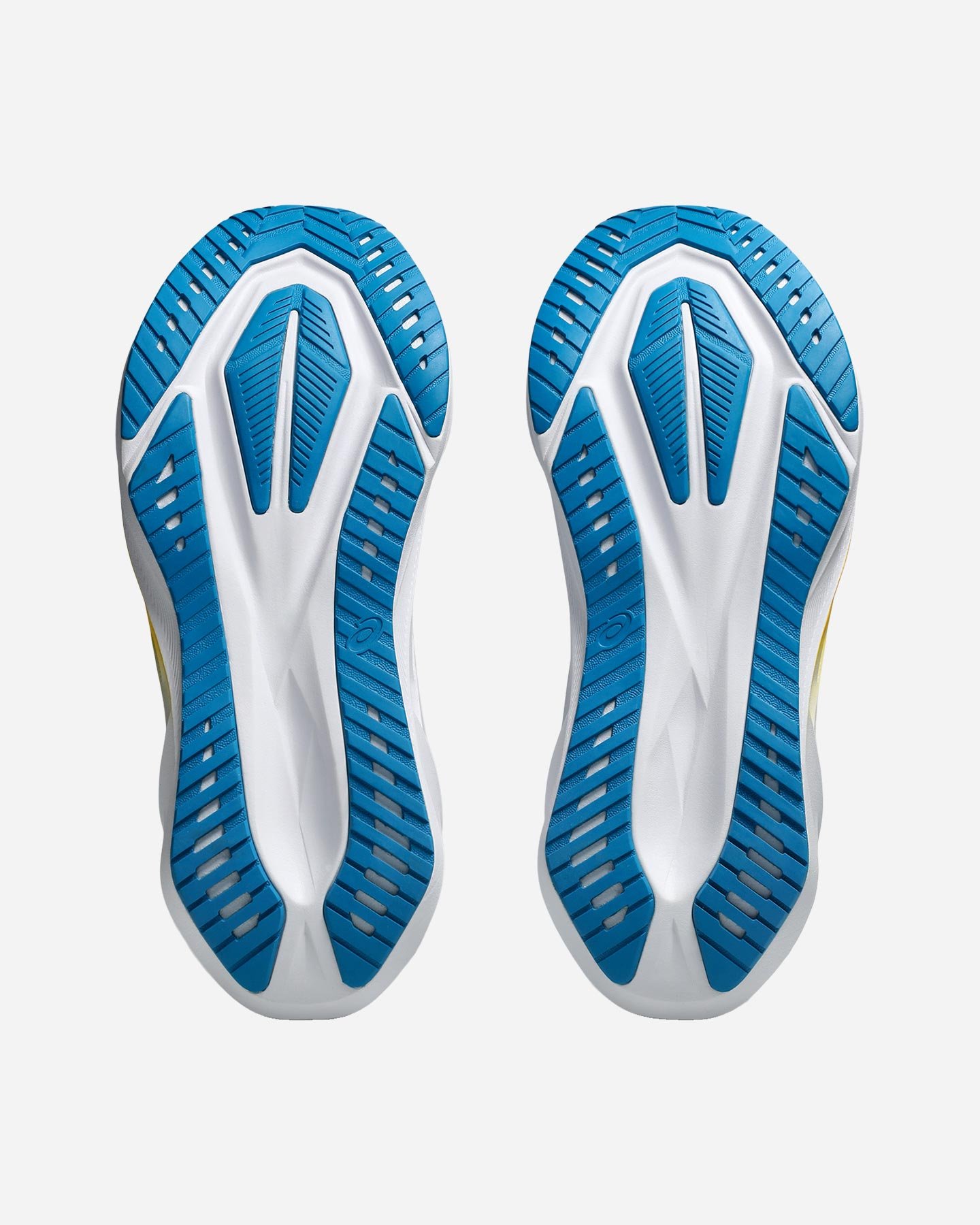 Scarpe running ASICS NOVABLAST 5 M - Bianco - 2 | Cisalfa Sport