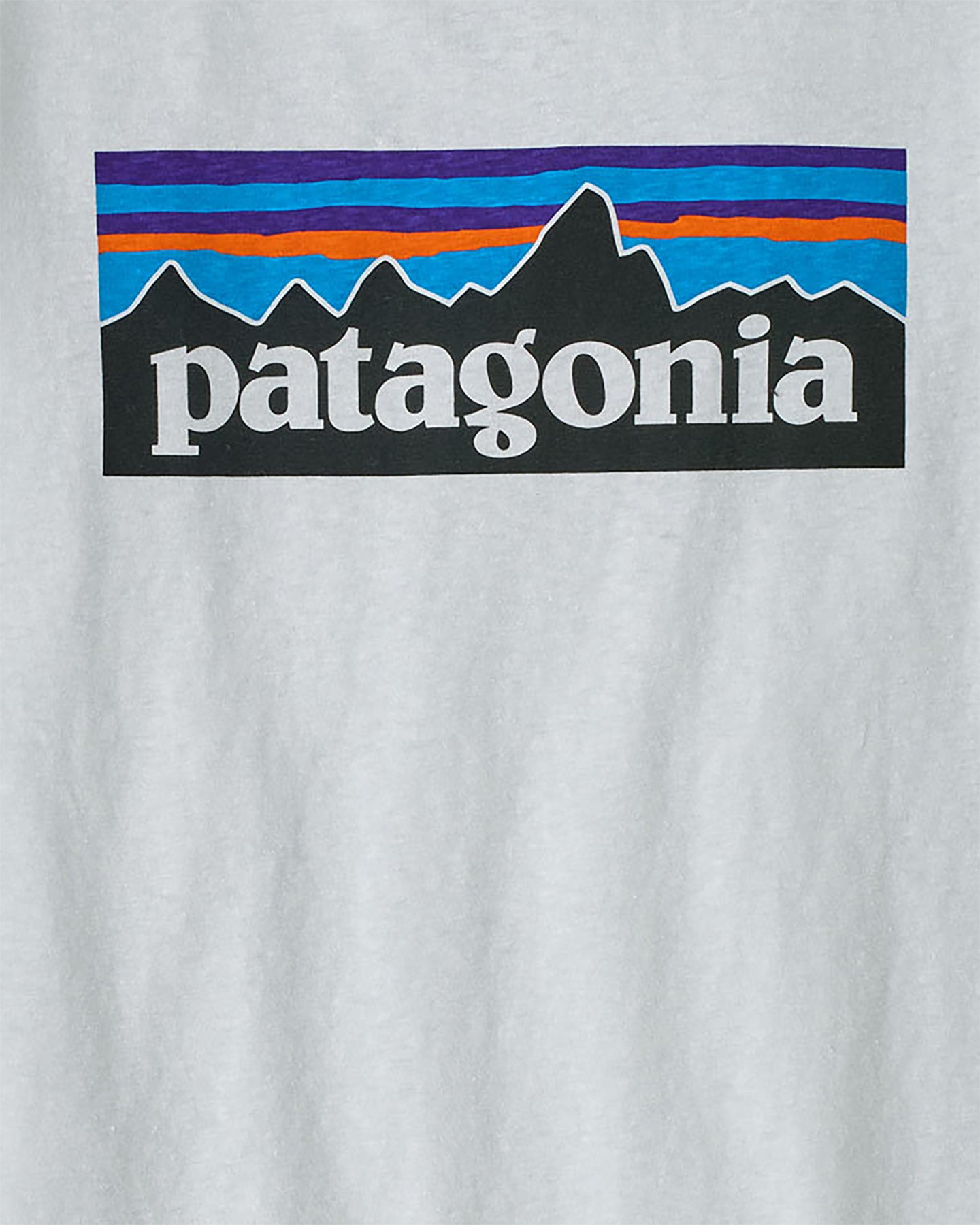 T-shirt PATAGONIA P-6 LOGO RESPONSIBILI-TEE W - Bianco - 2 | Cisalfa Sport