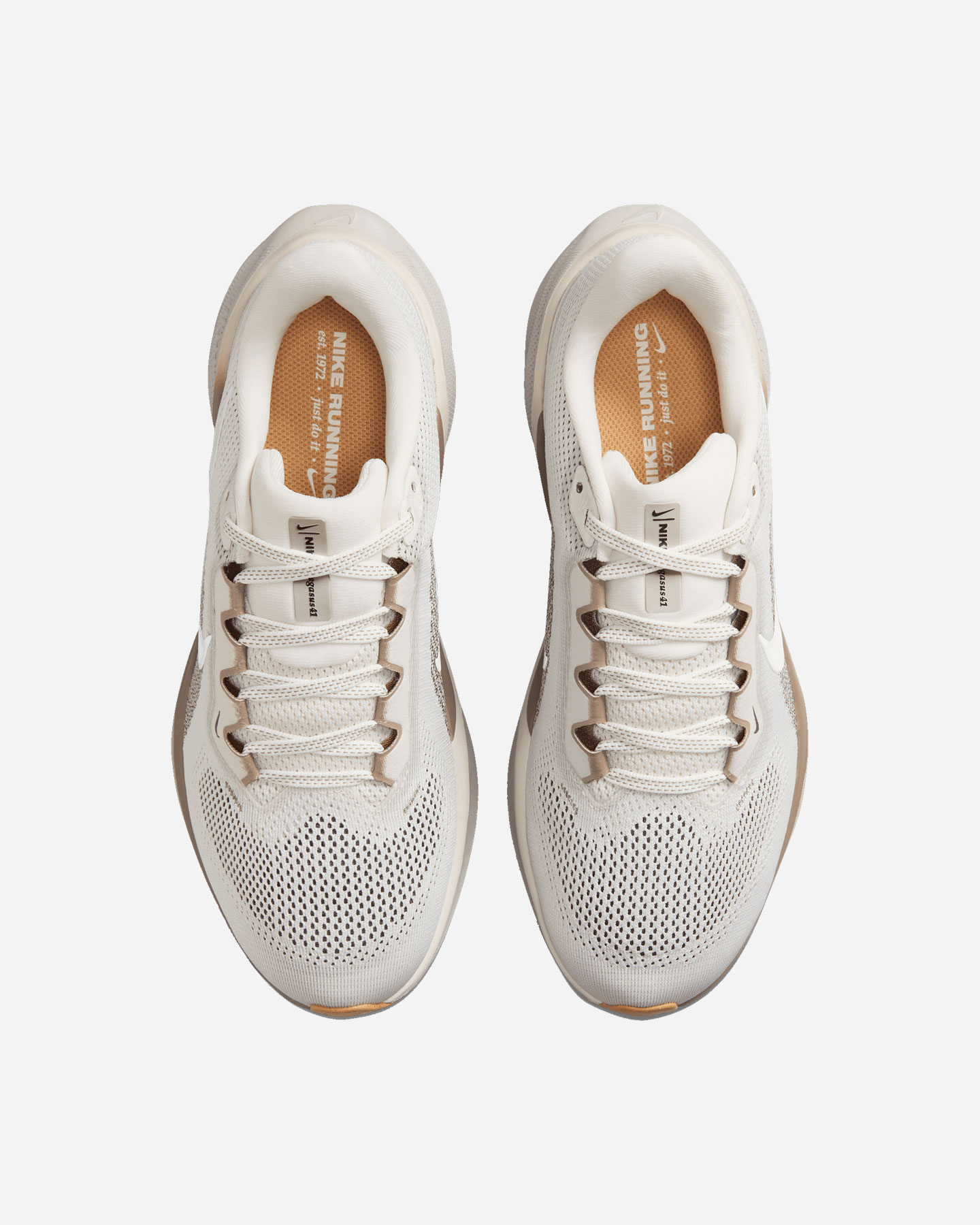 Scarpe running NIKE PEGASUS 41 W - Azzurro - 2 | Cisalfa Sport