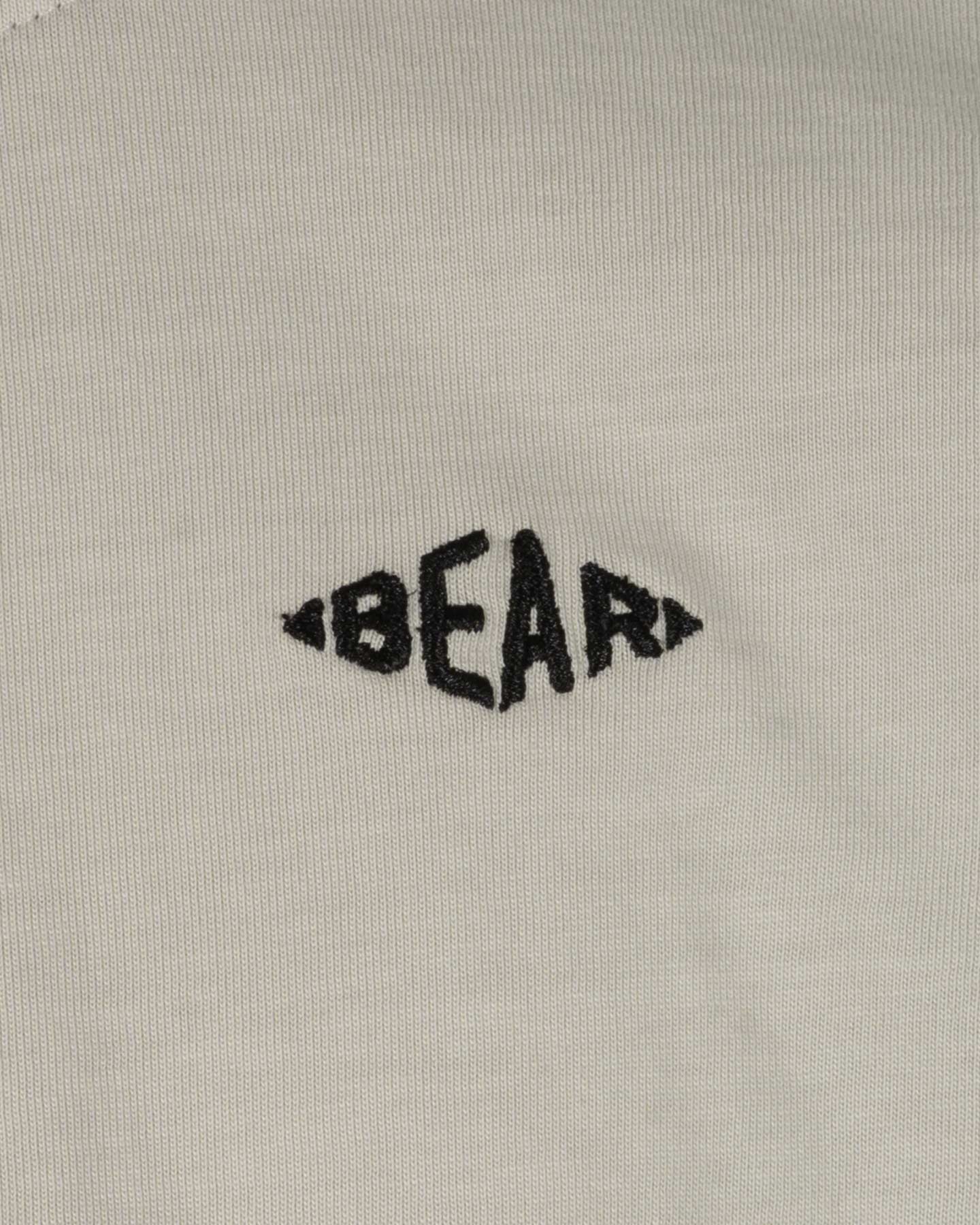 T-shirt BEAR SHORE BREAK JR - Grigio - 2 | Cisalfa Sport